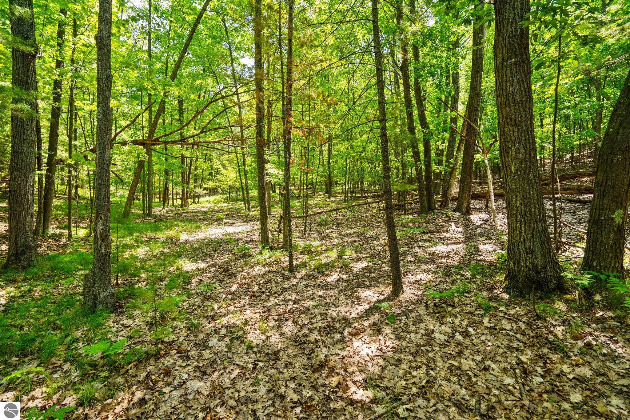 4513 Weathering Heights Road