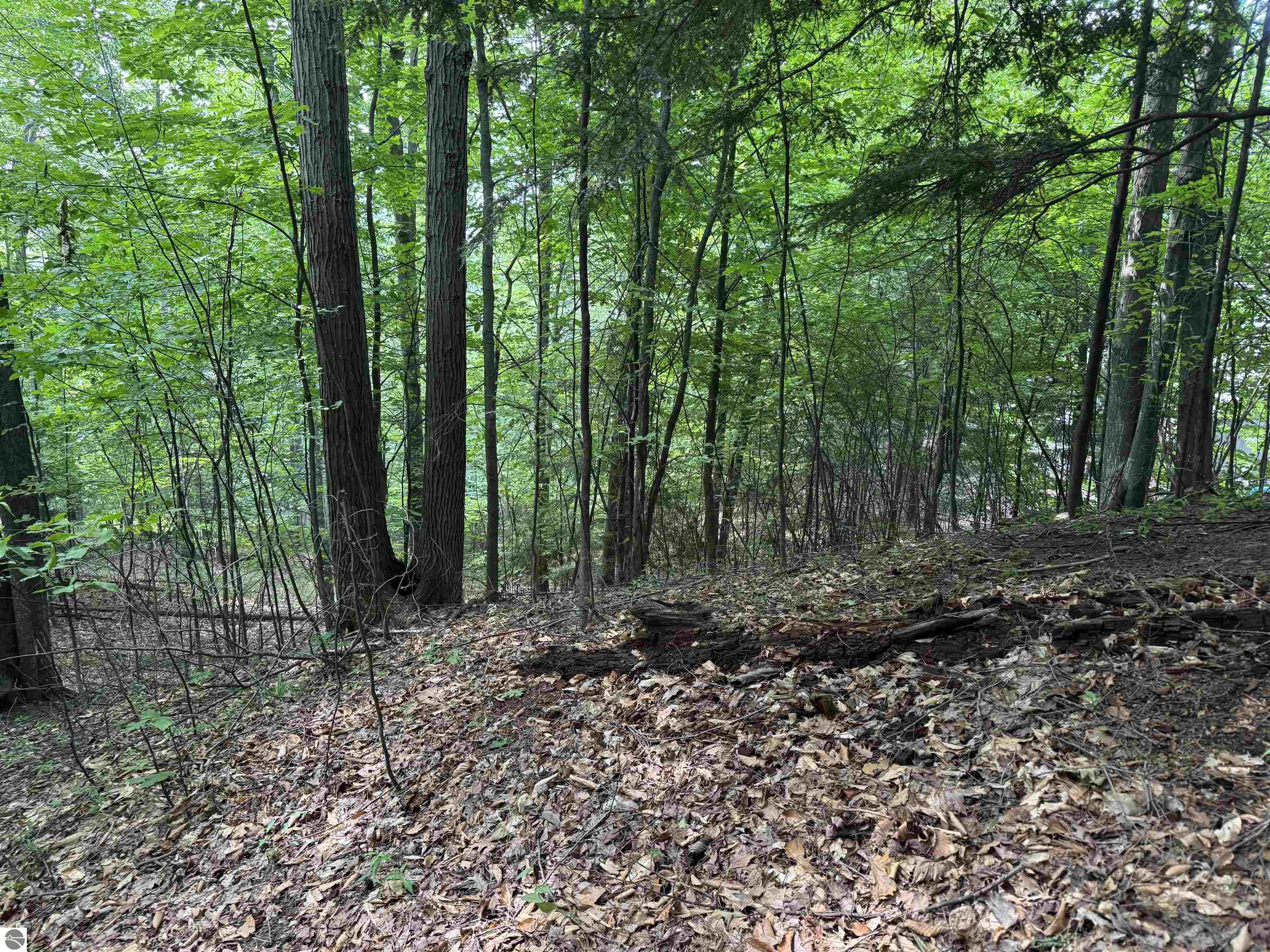 Lot 18 Woods Drive