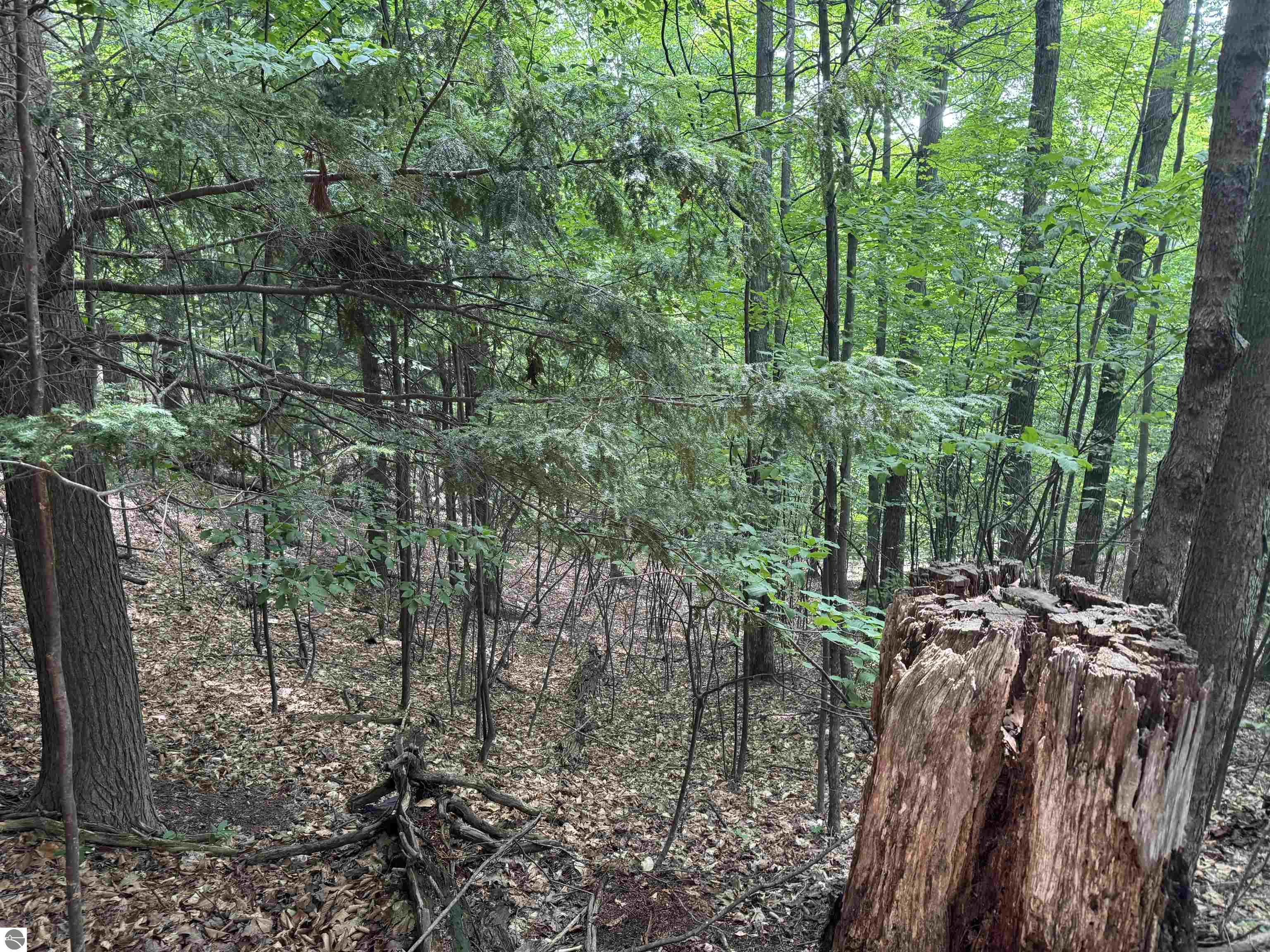 Lot 18 Woods Drive