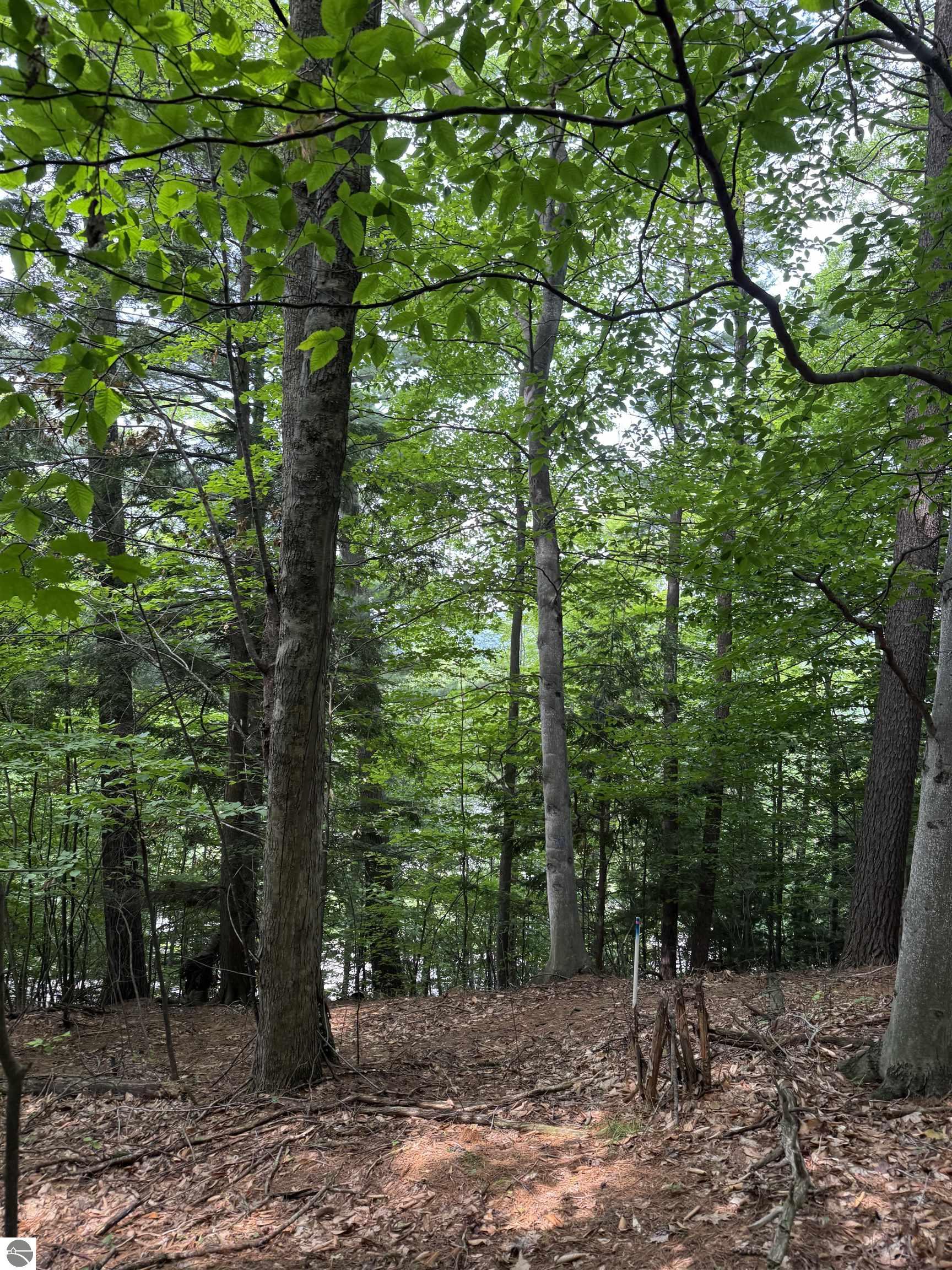 Lot 18 Woods Drive