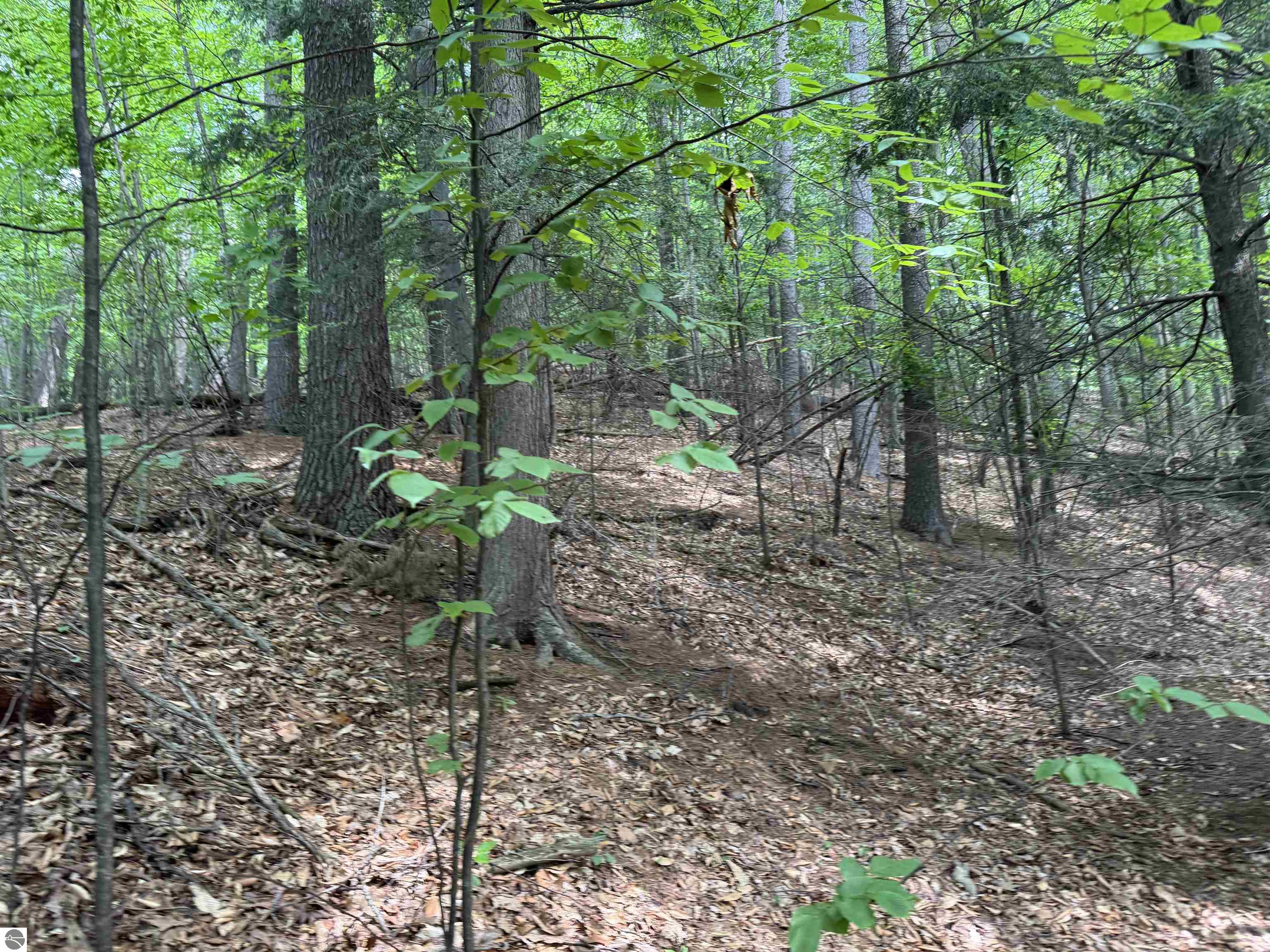 Lot 18 Woods Drive