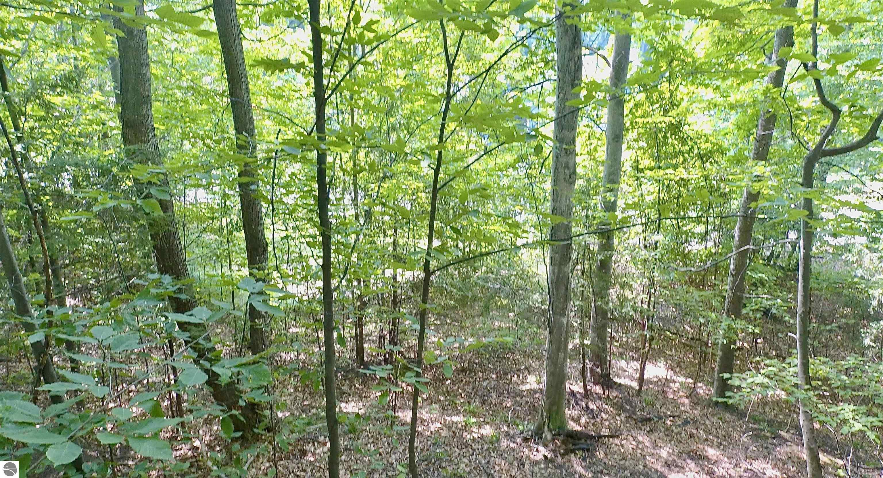 Lot 18 Woods Drive