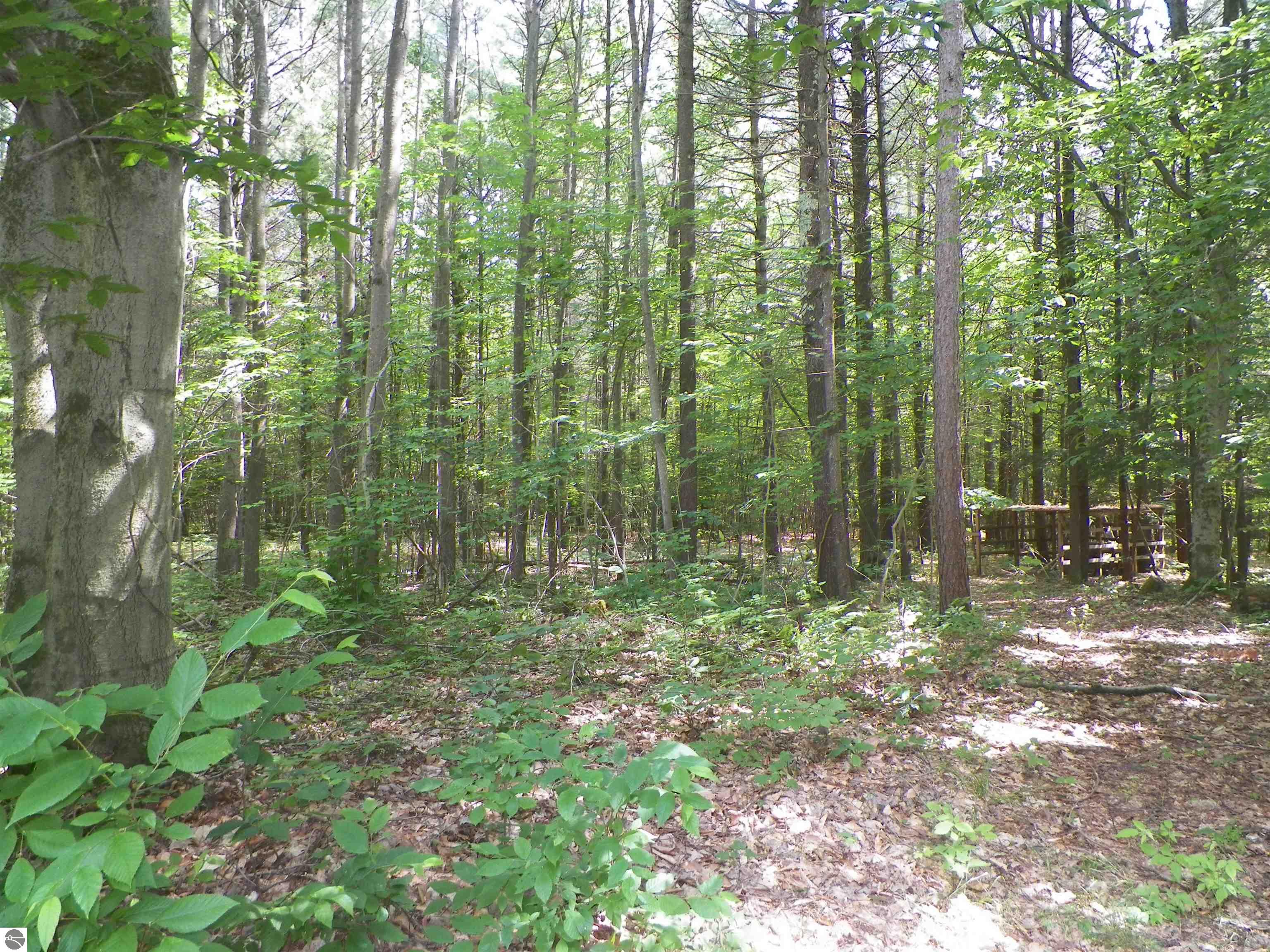 7707 E 5 Mile Road
