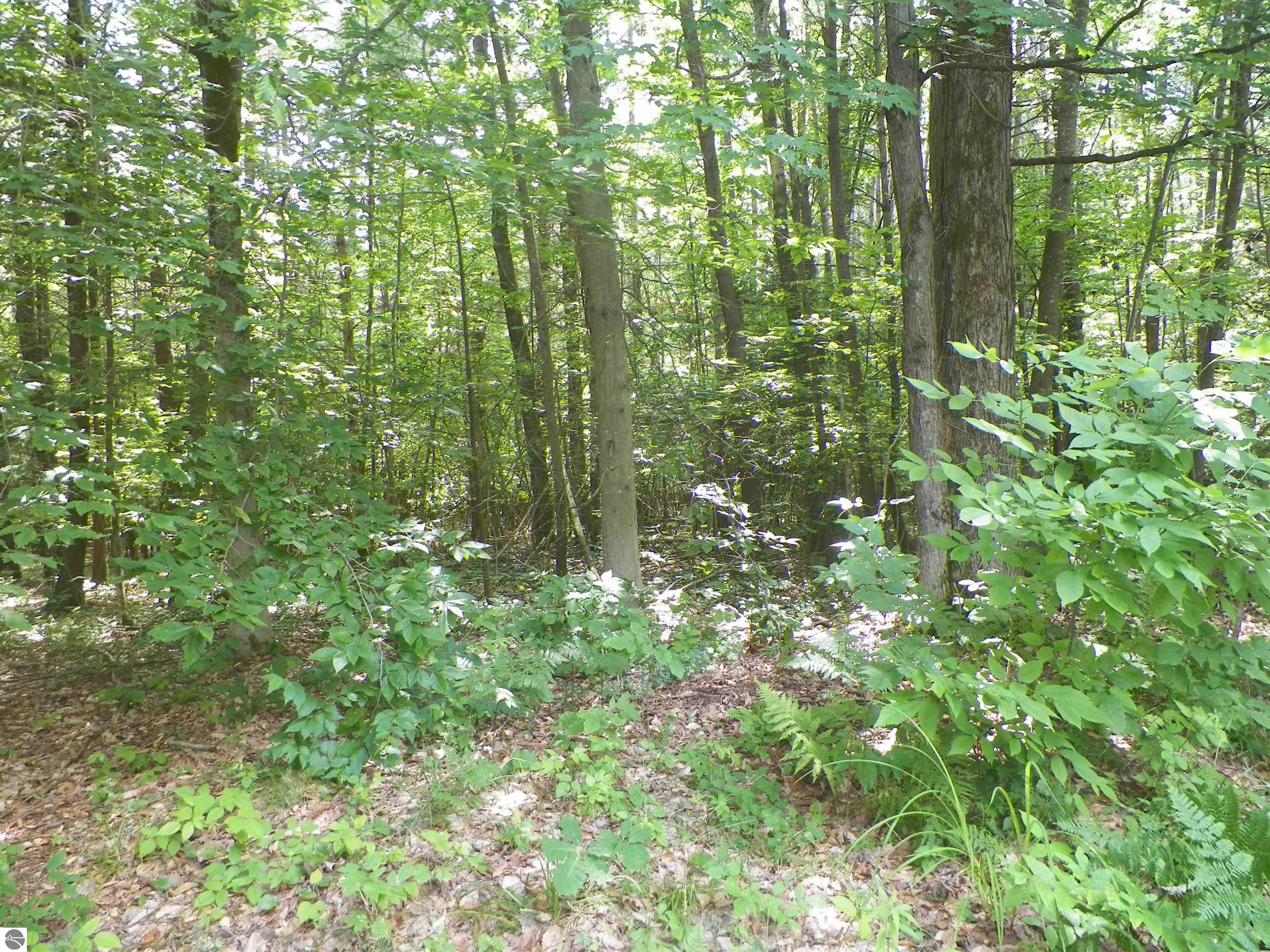 7707 E 5 Mile Road