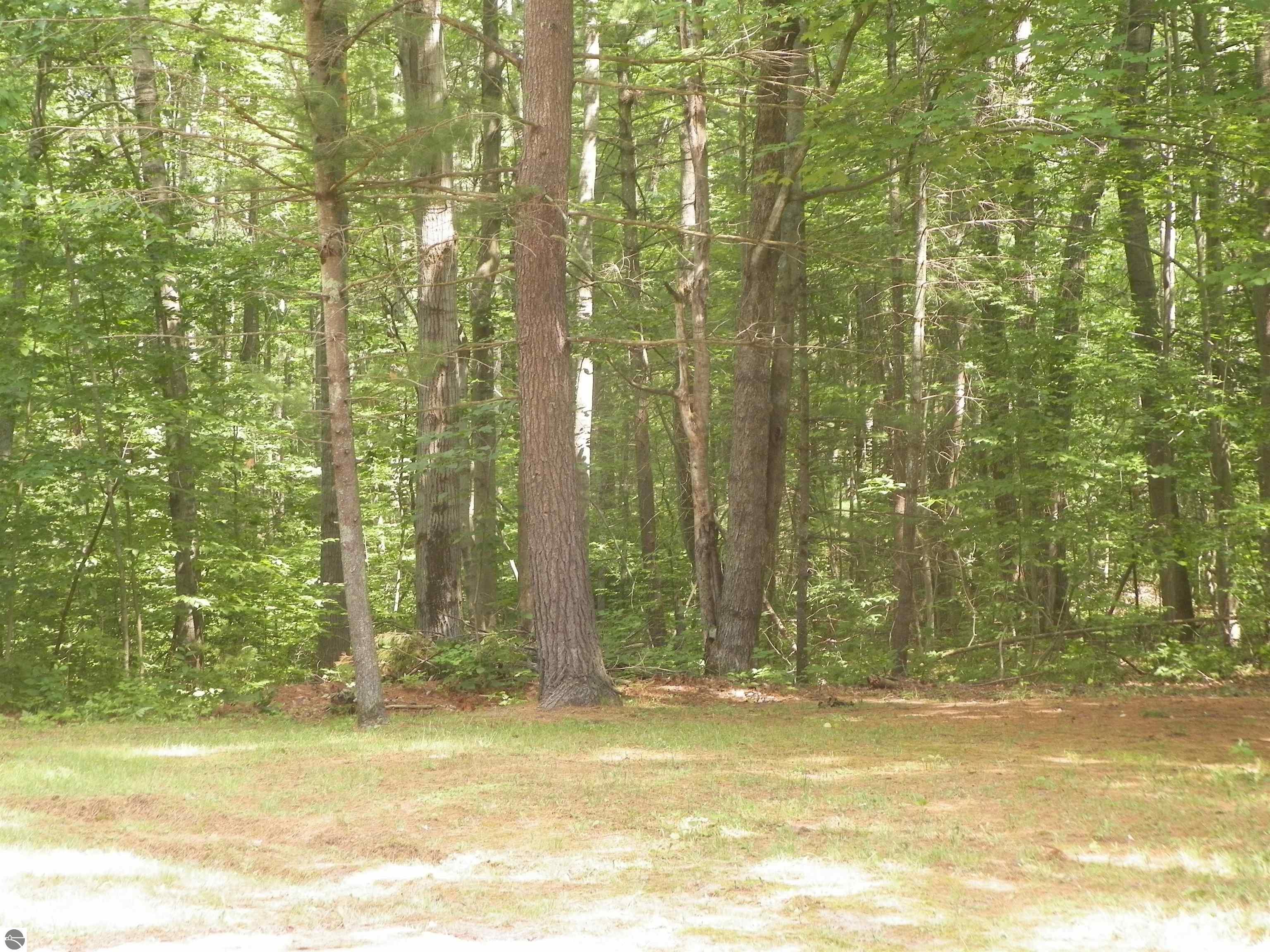 7707 E 5 Mile Road