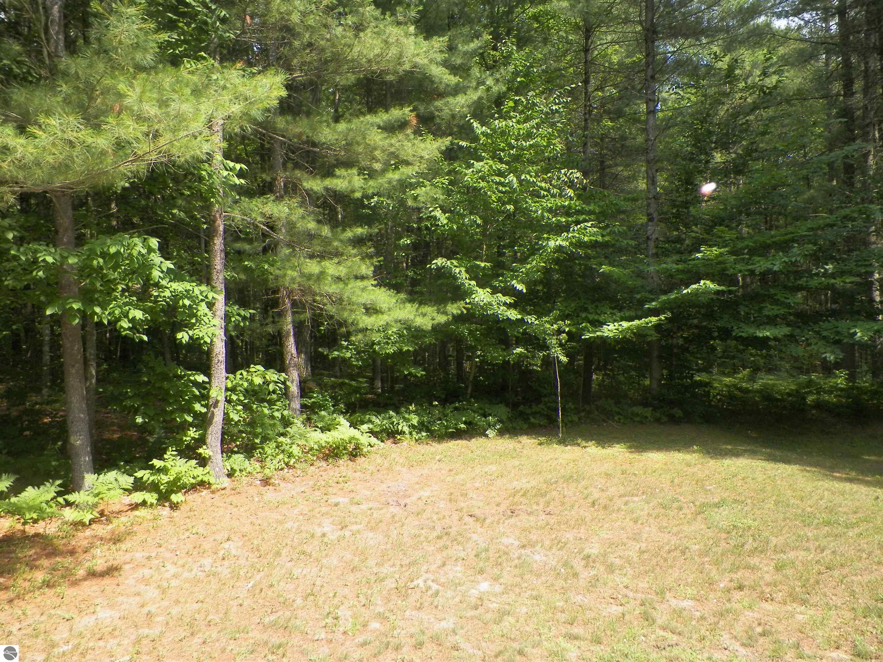 7707 E 5 Mile Road