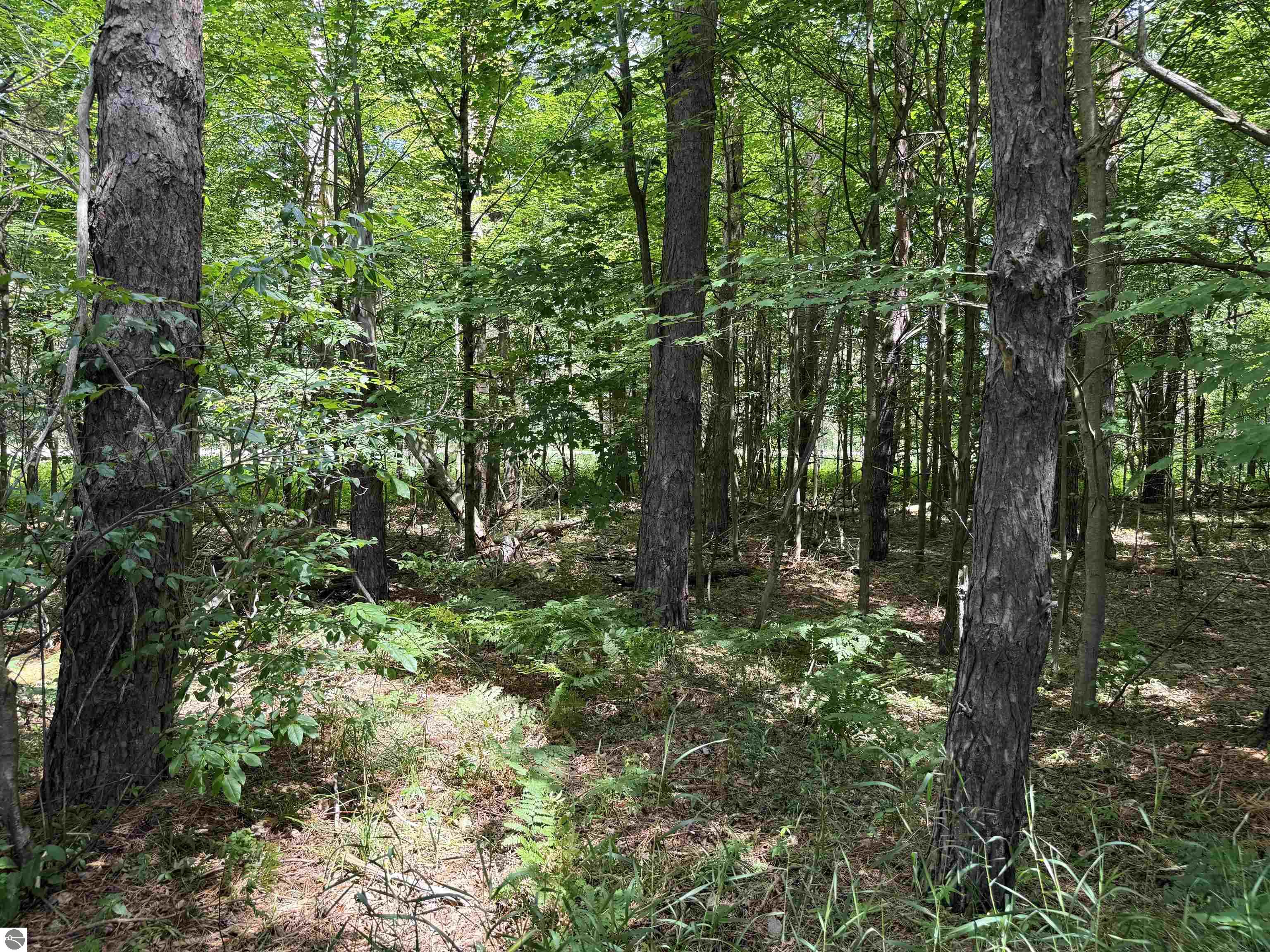 5019 Golden Road