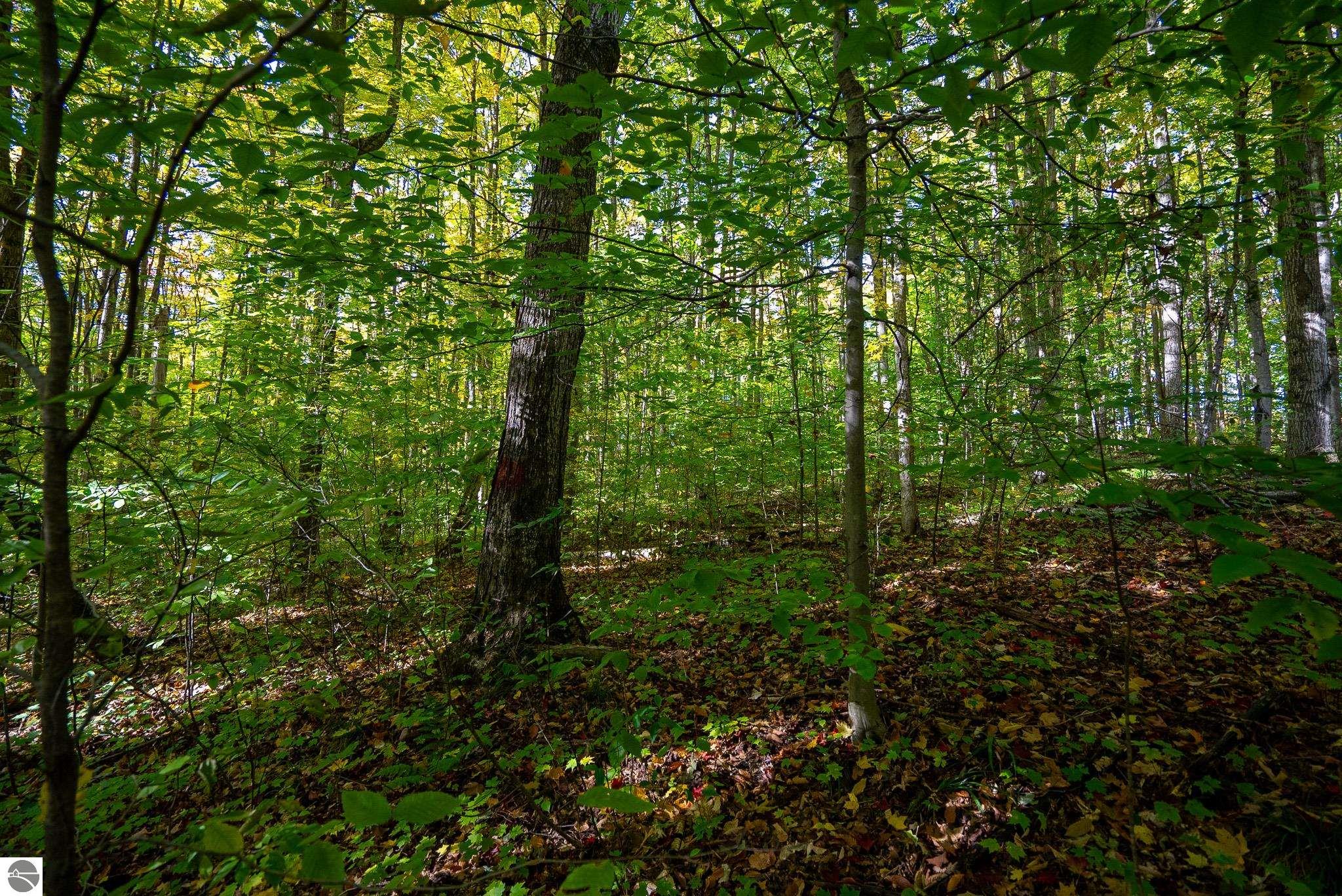 7189 County Road 571