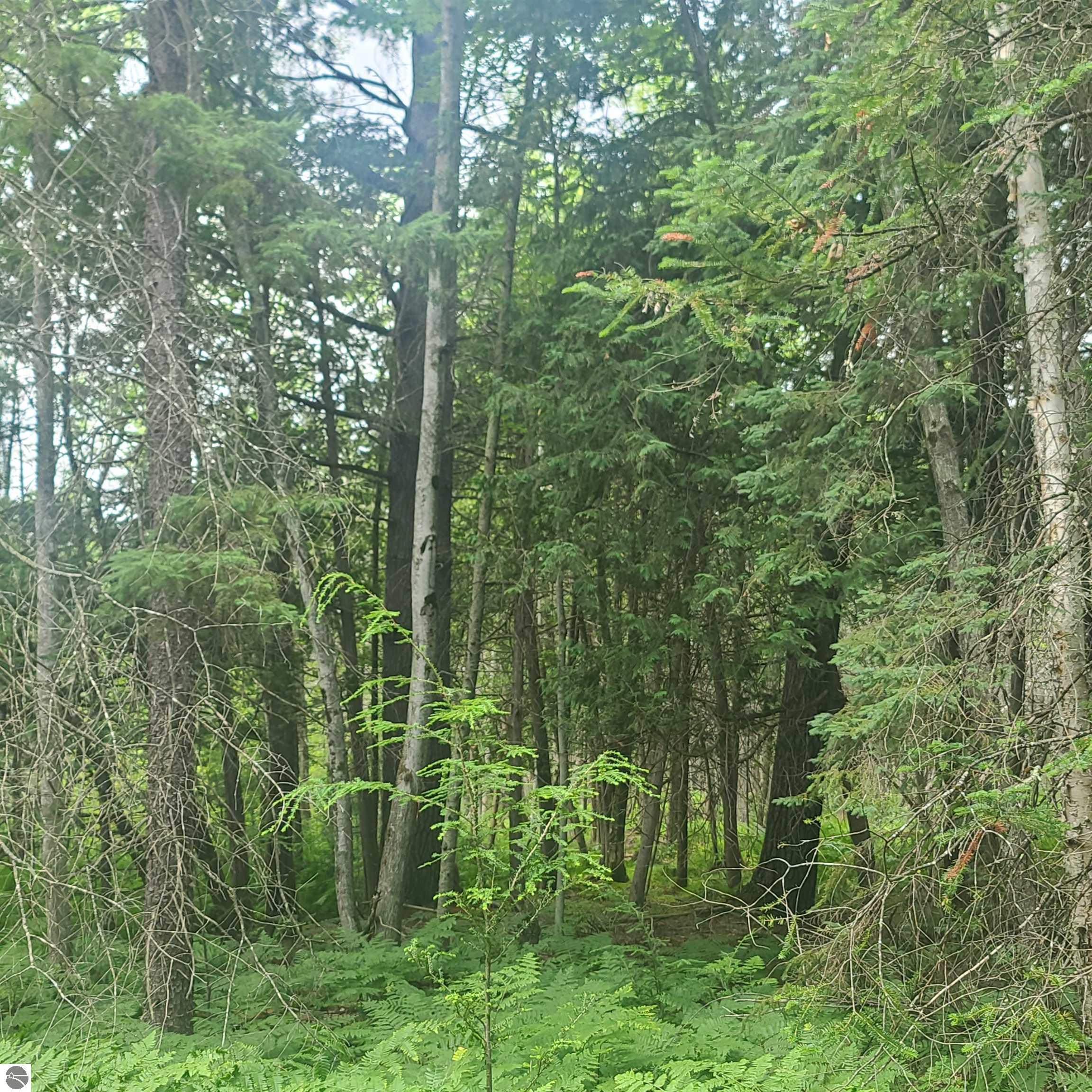 US-131, SW