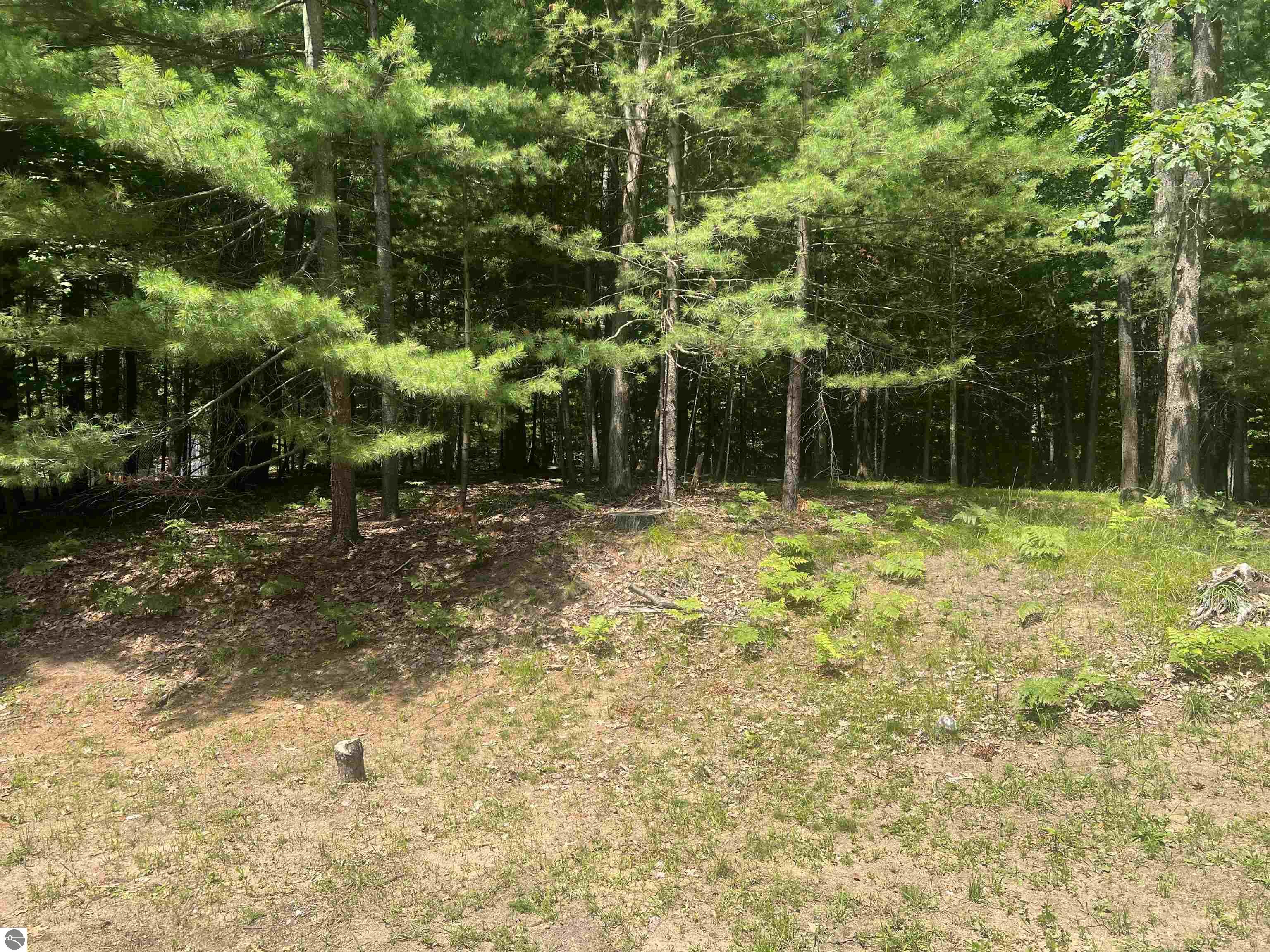315 Timber Hill