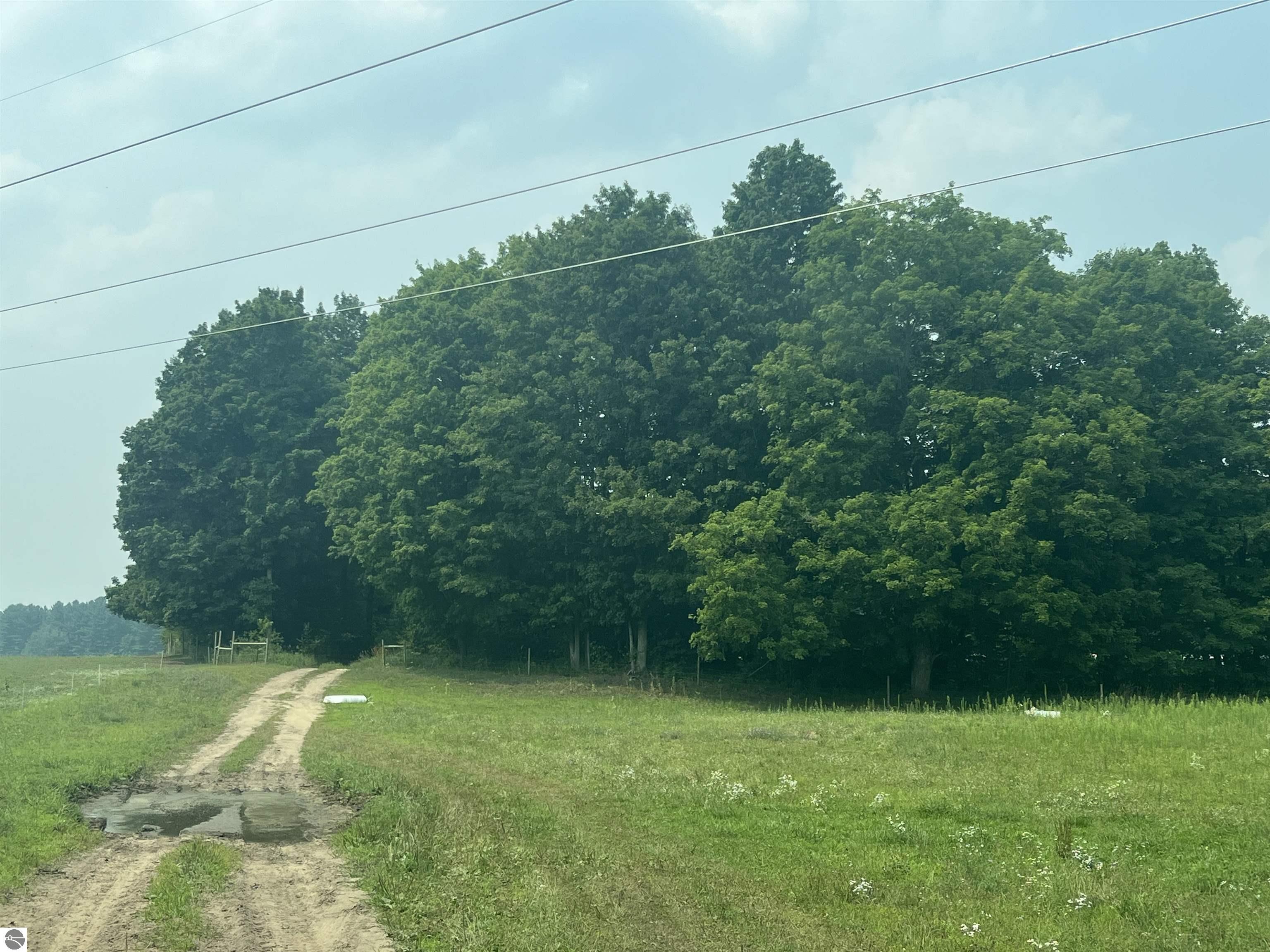 Ramsay Road