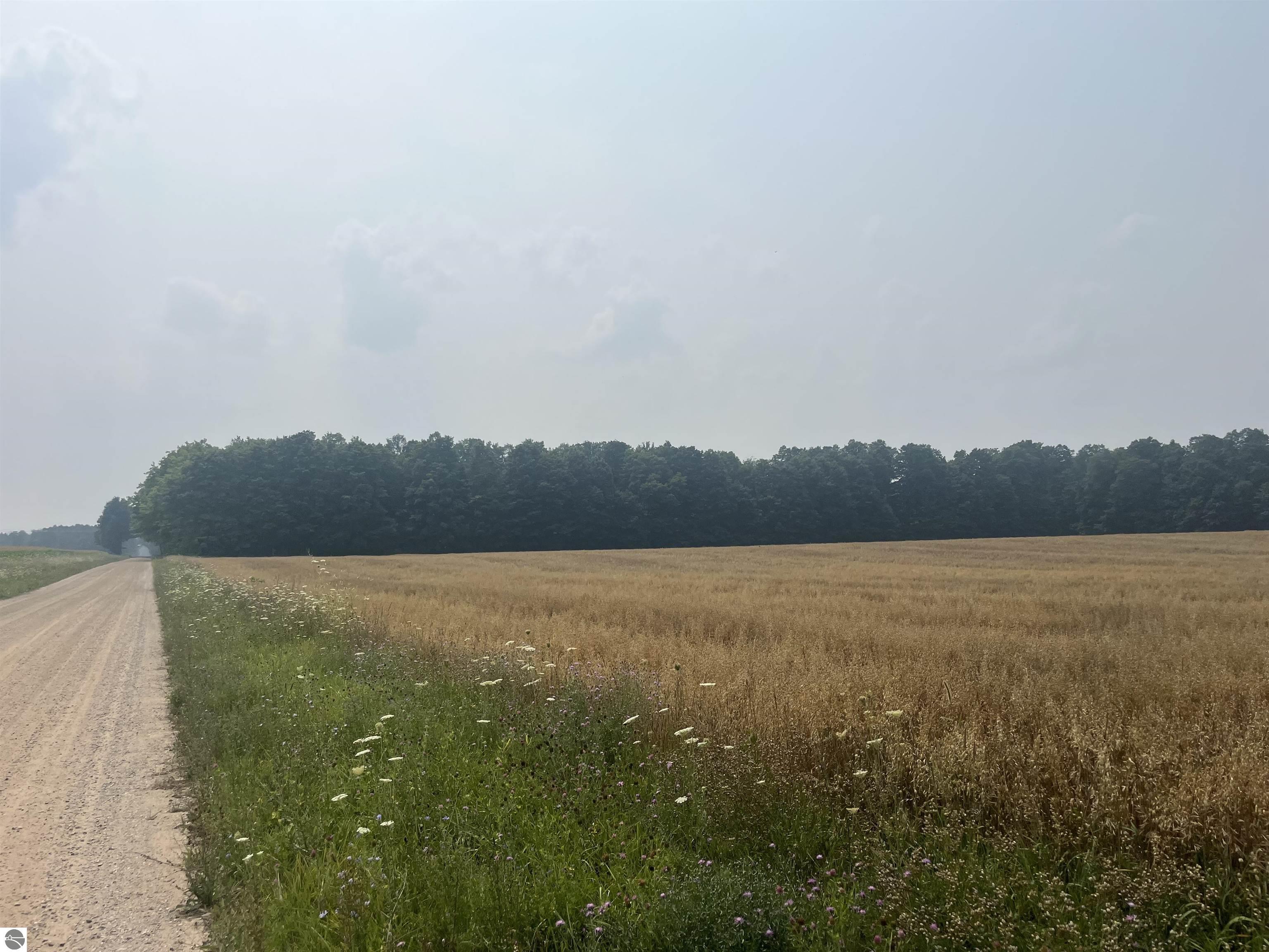 Ramsay Road