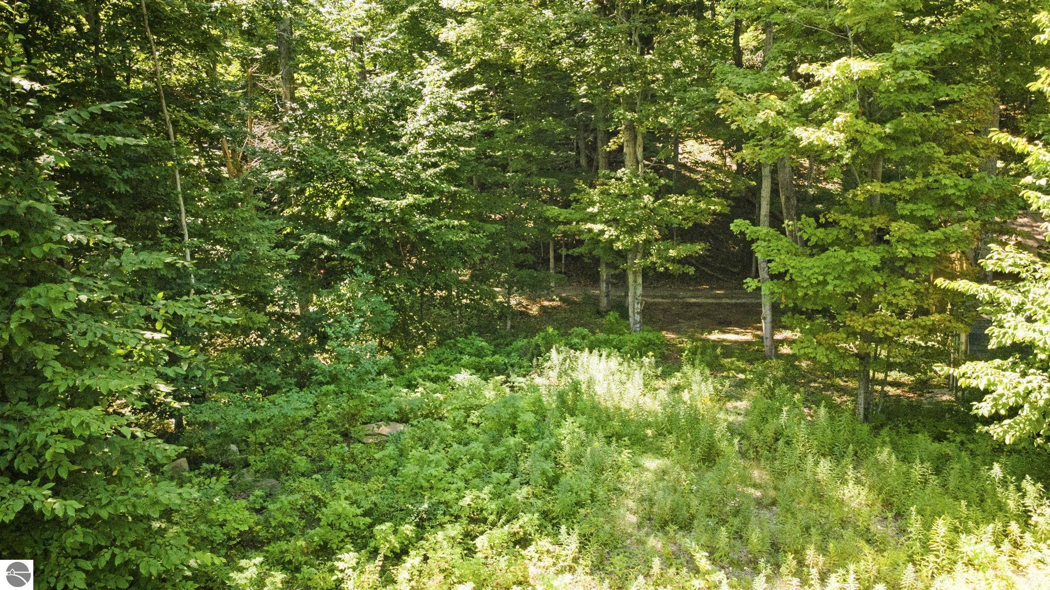 00 Greene Drive
