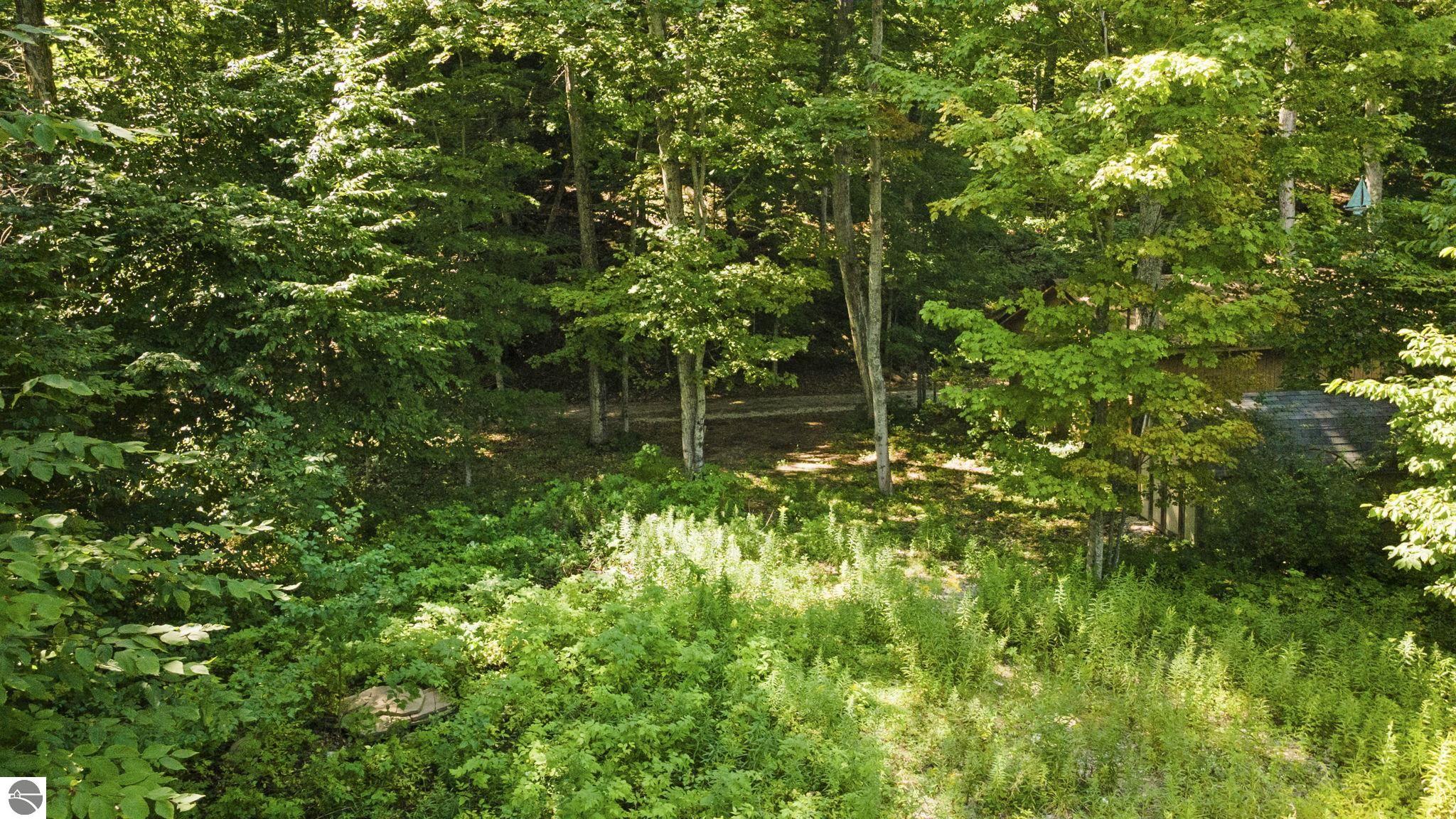 00 Greene Drive