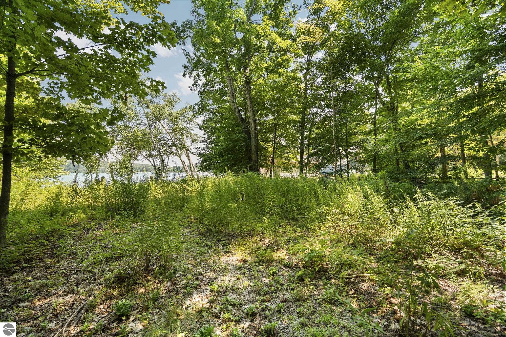 00 Greene Drive