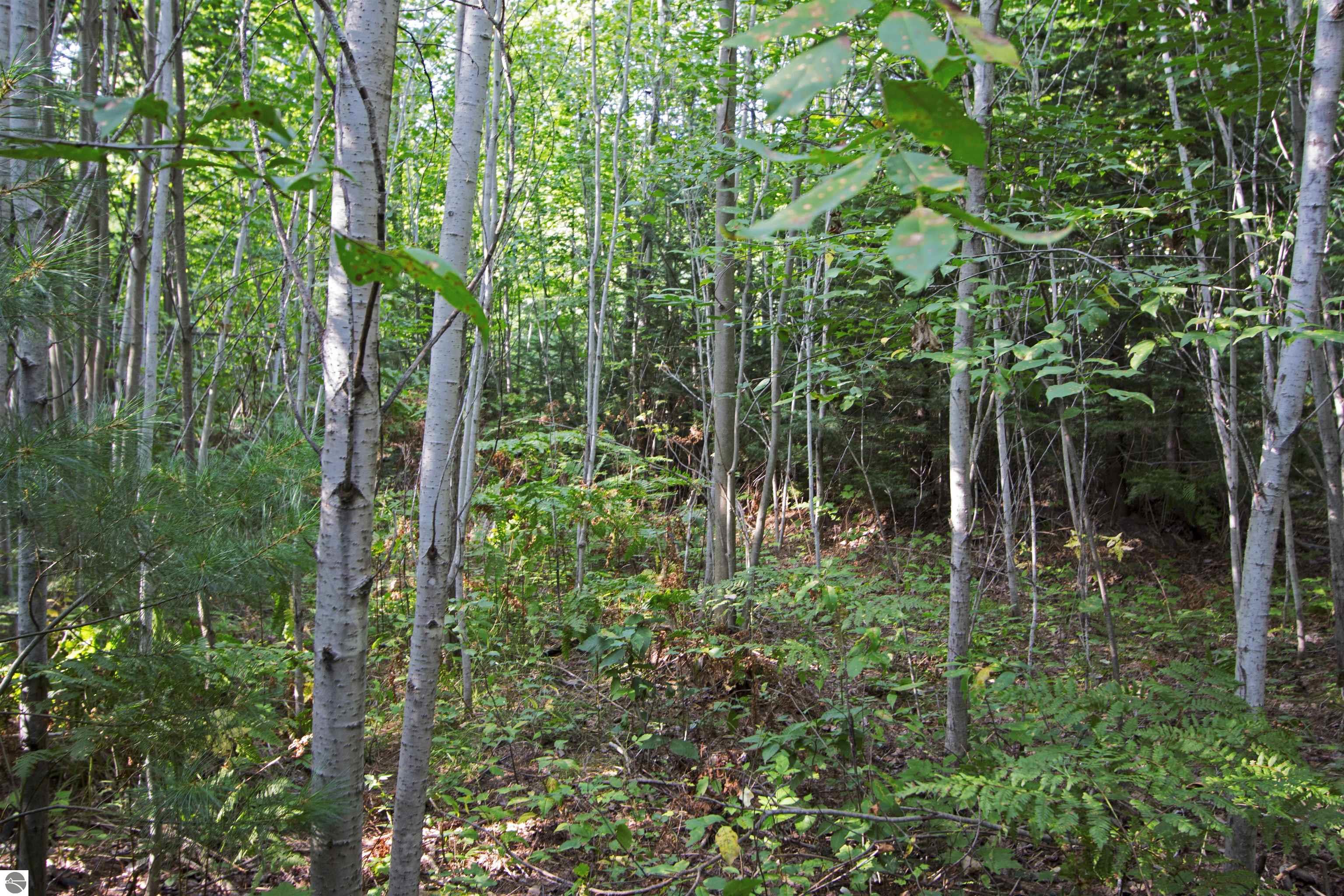 V/L US-131