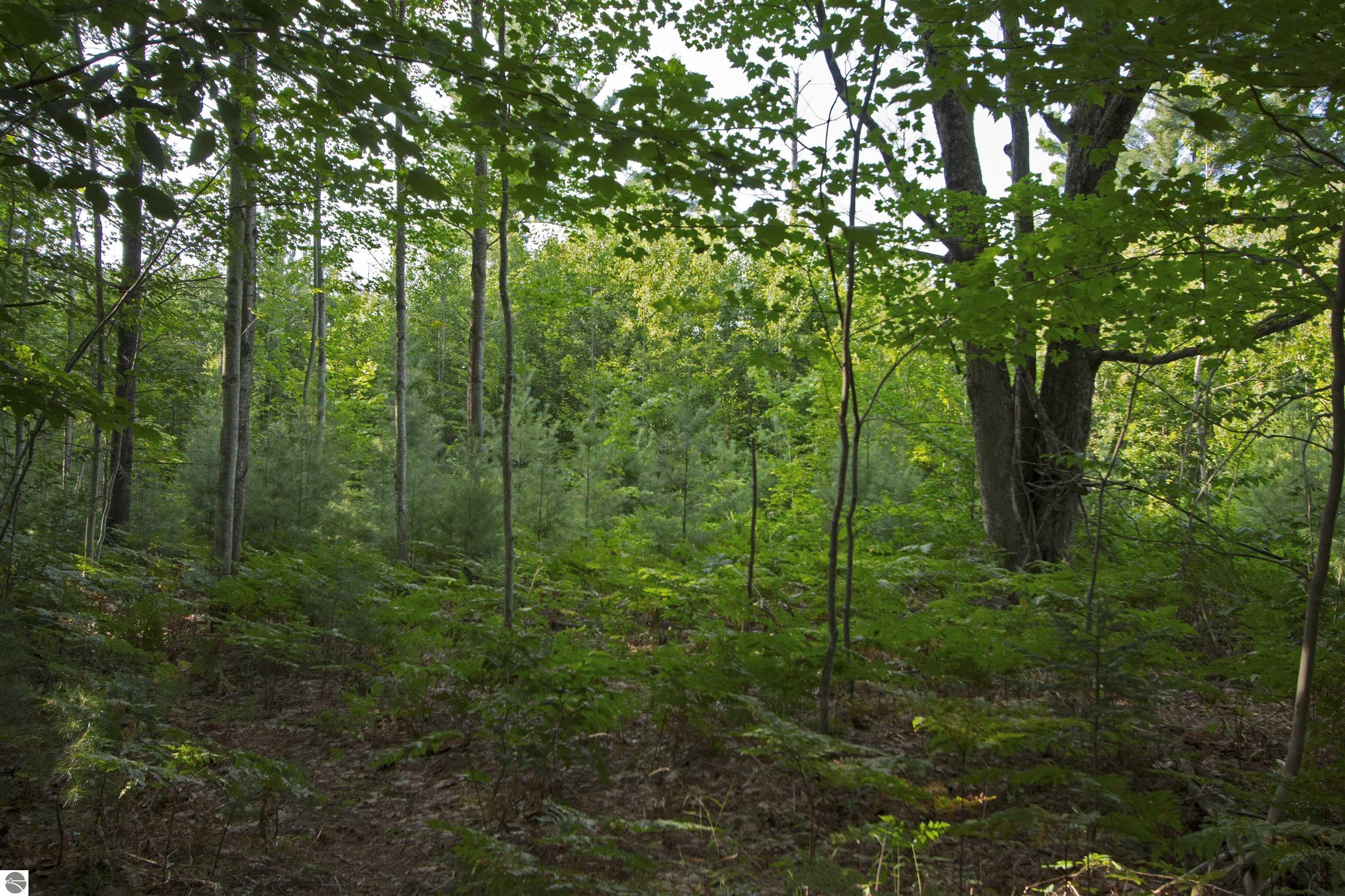 V/L US-131