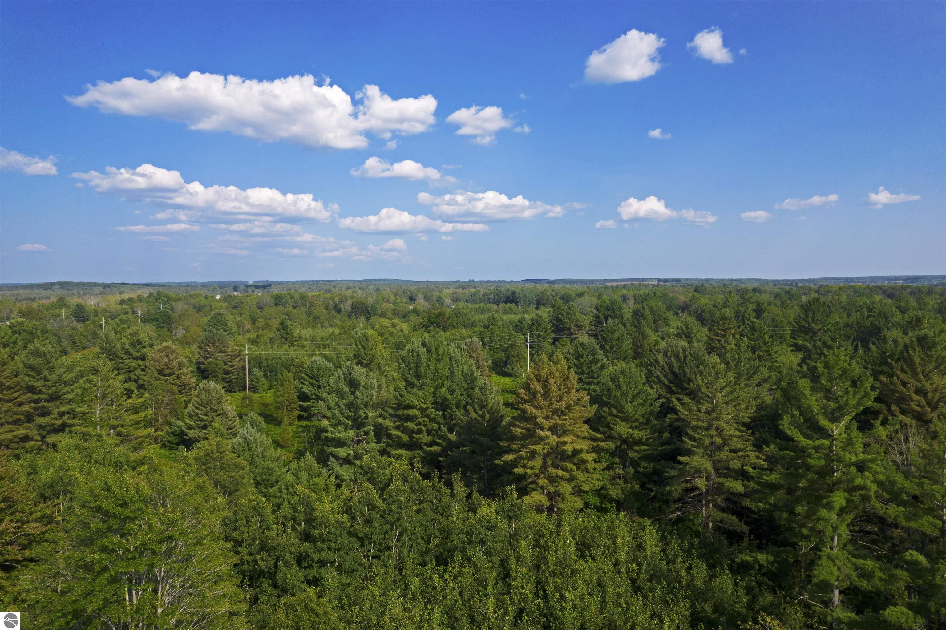 V/L US-131