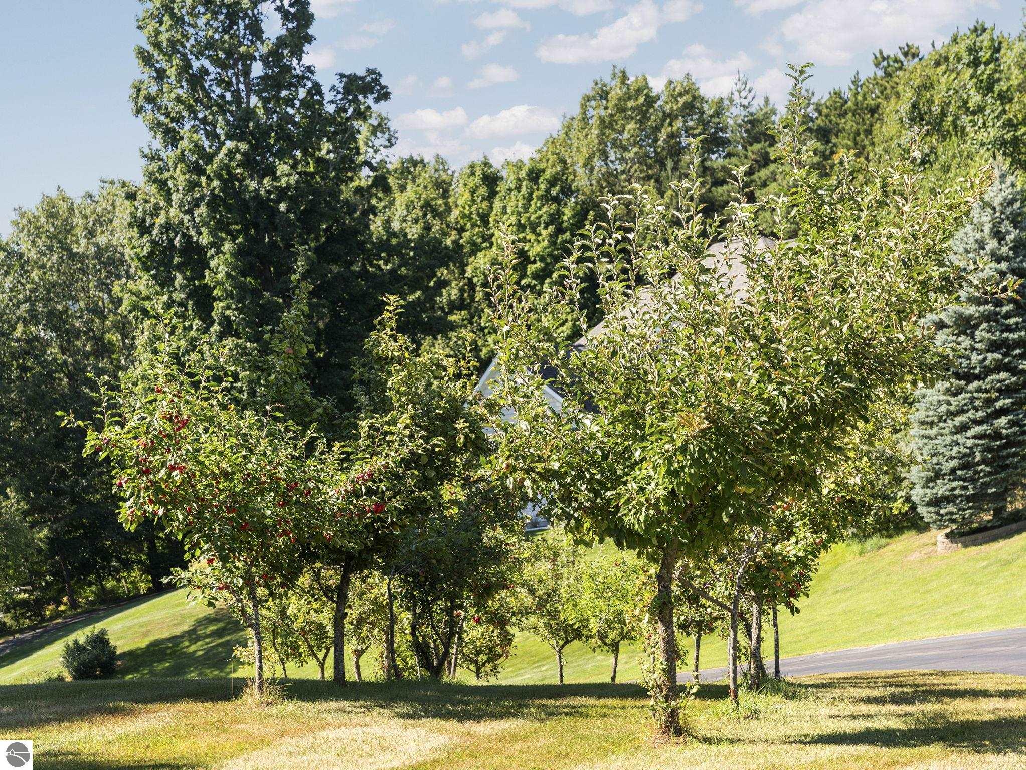 118 Farm Lane