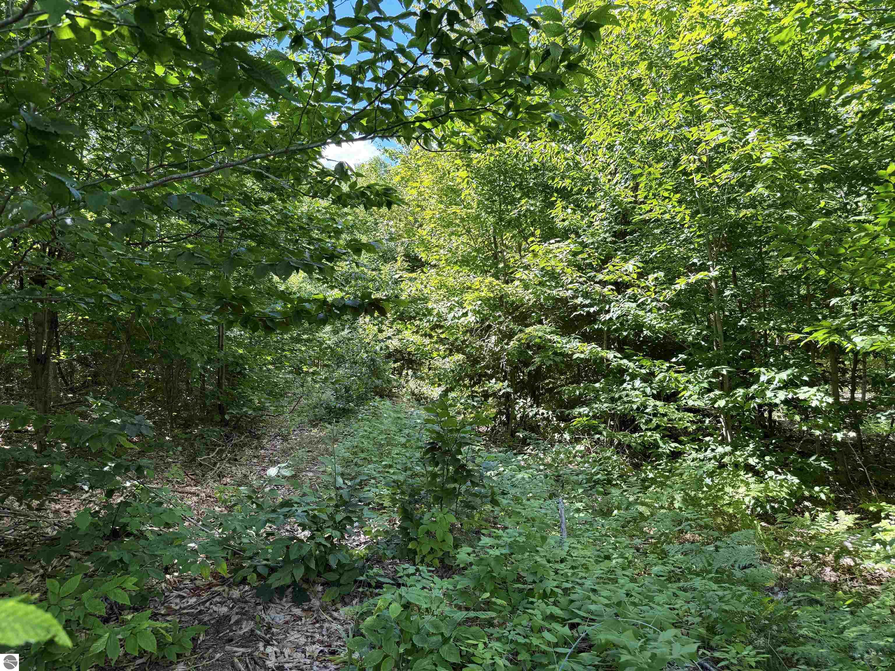 V/L Walker Road, Nw