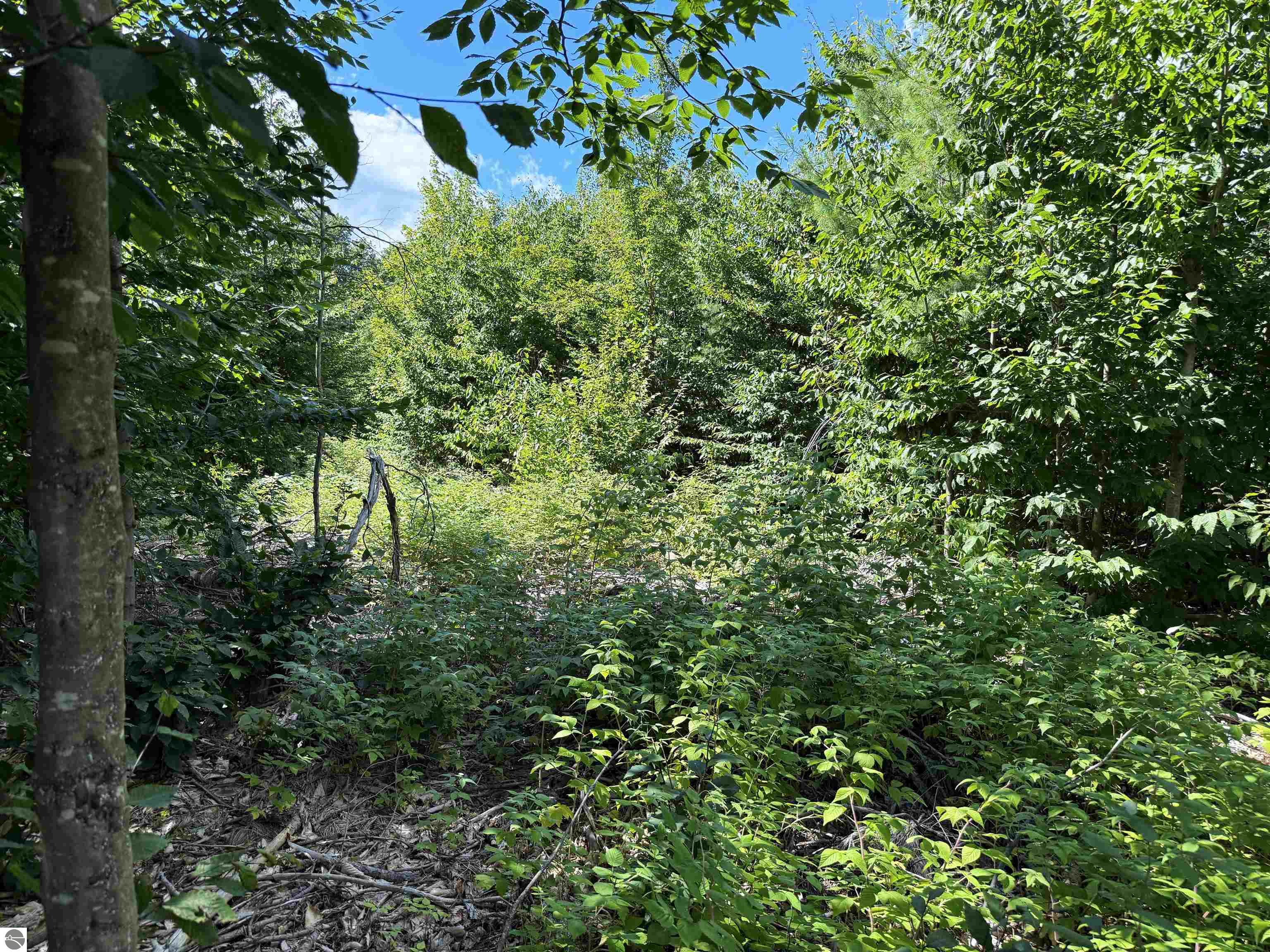 V/L Walker Road, Nw