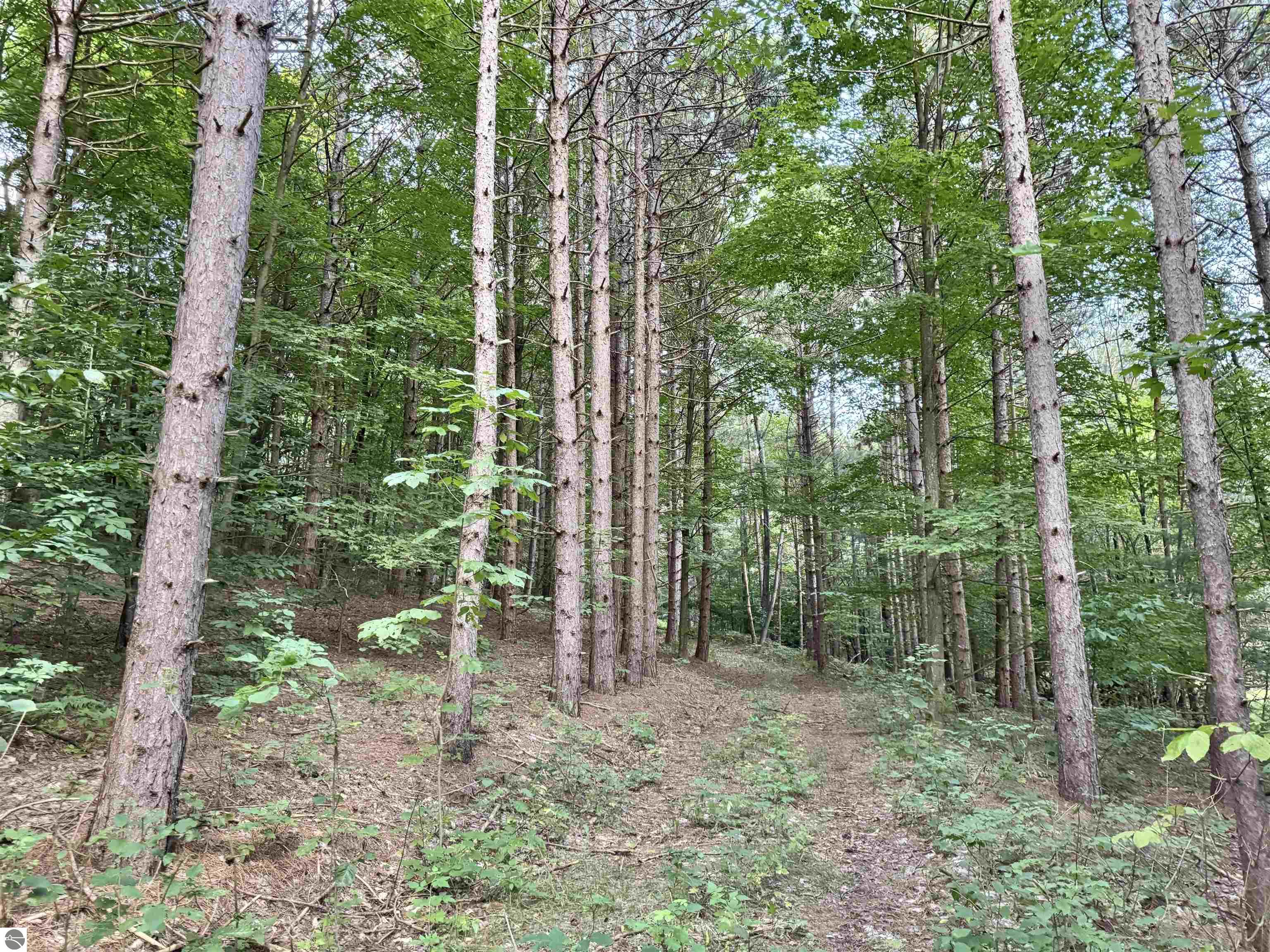 0 S Beaver Pond Road