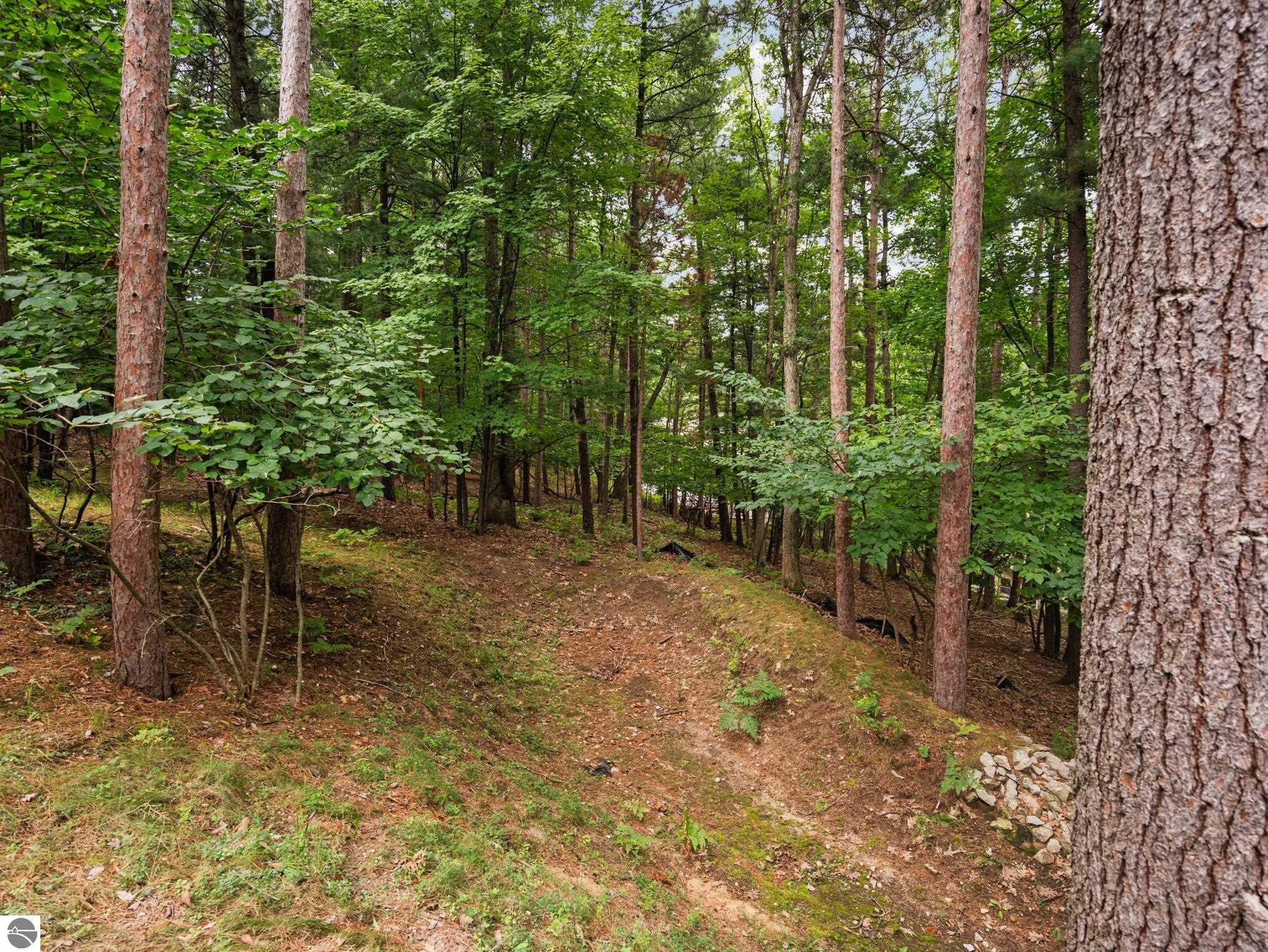 3969 Sherwood Forest Drive