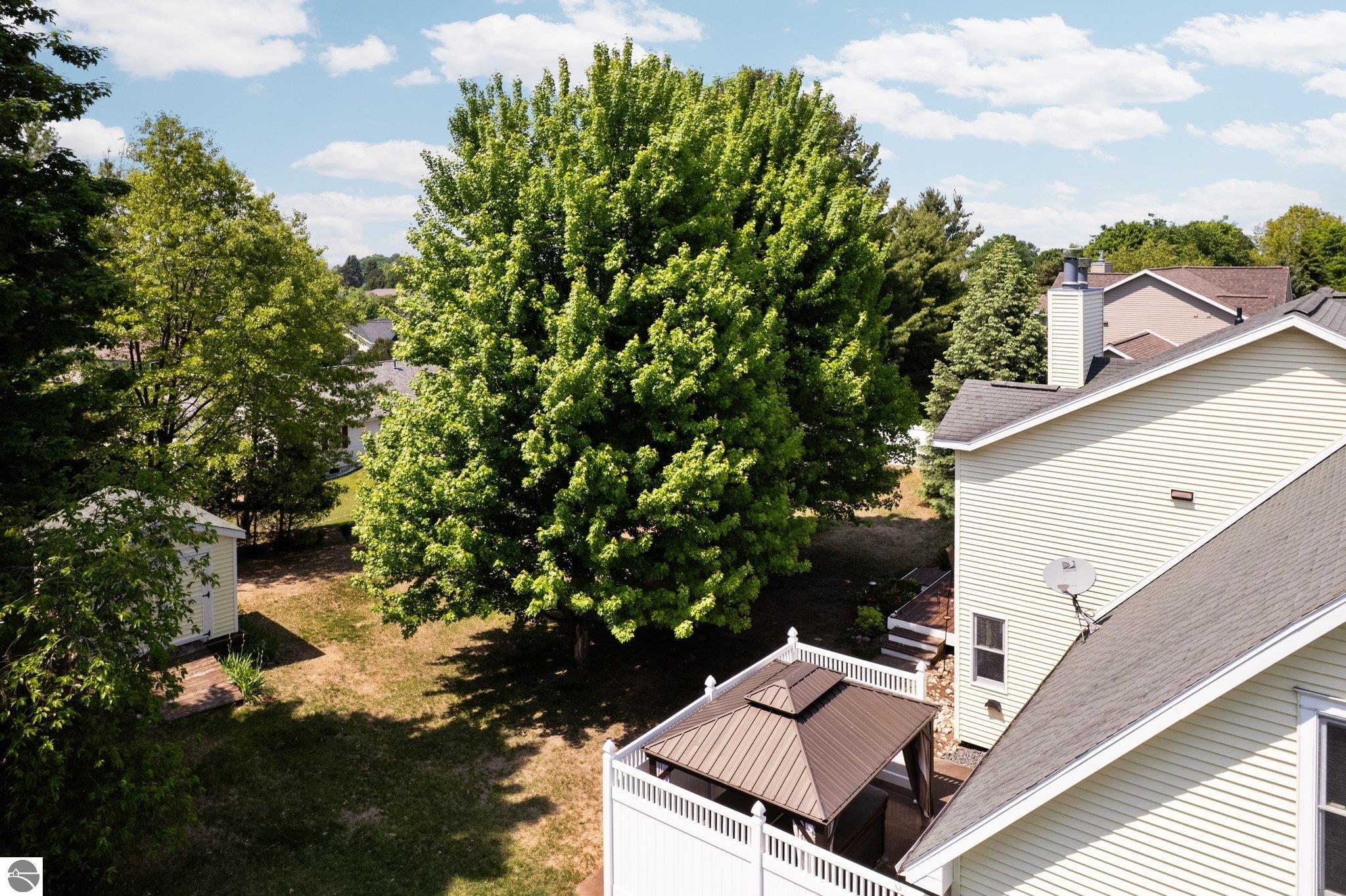 1373 Richman Court