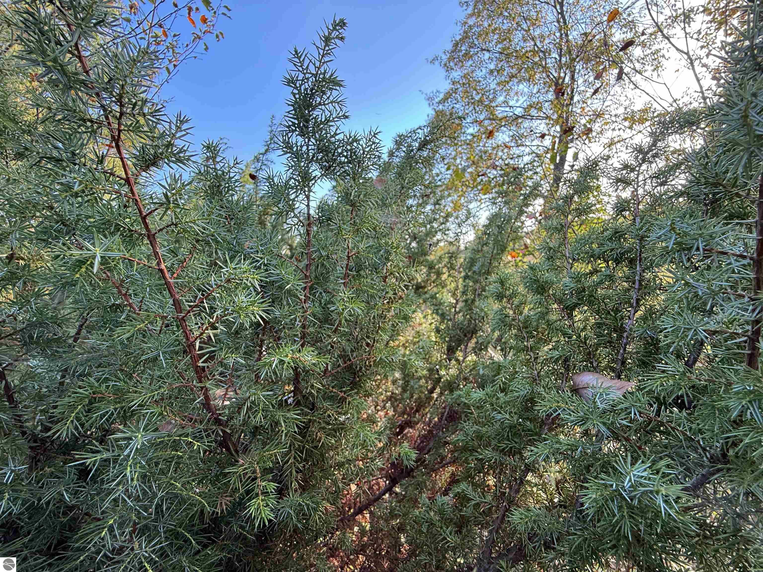 3191 Tucker Road
