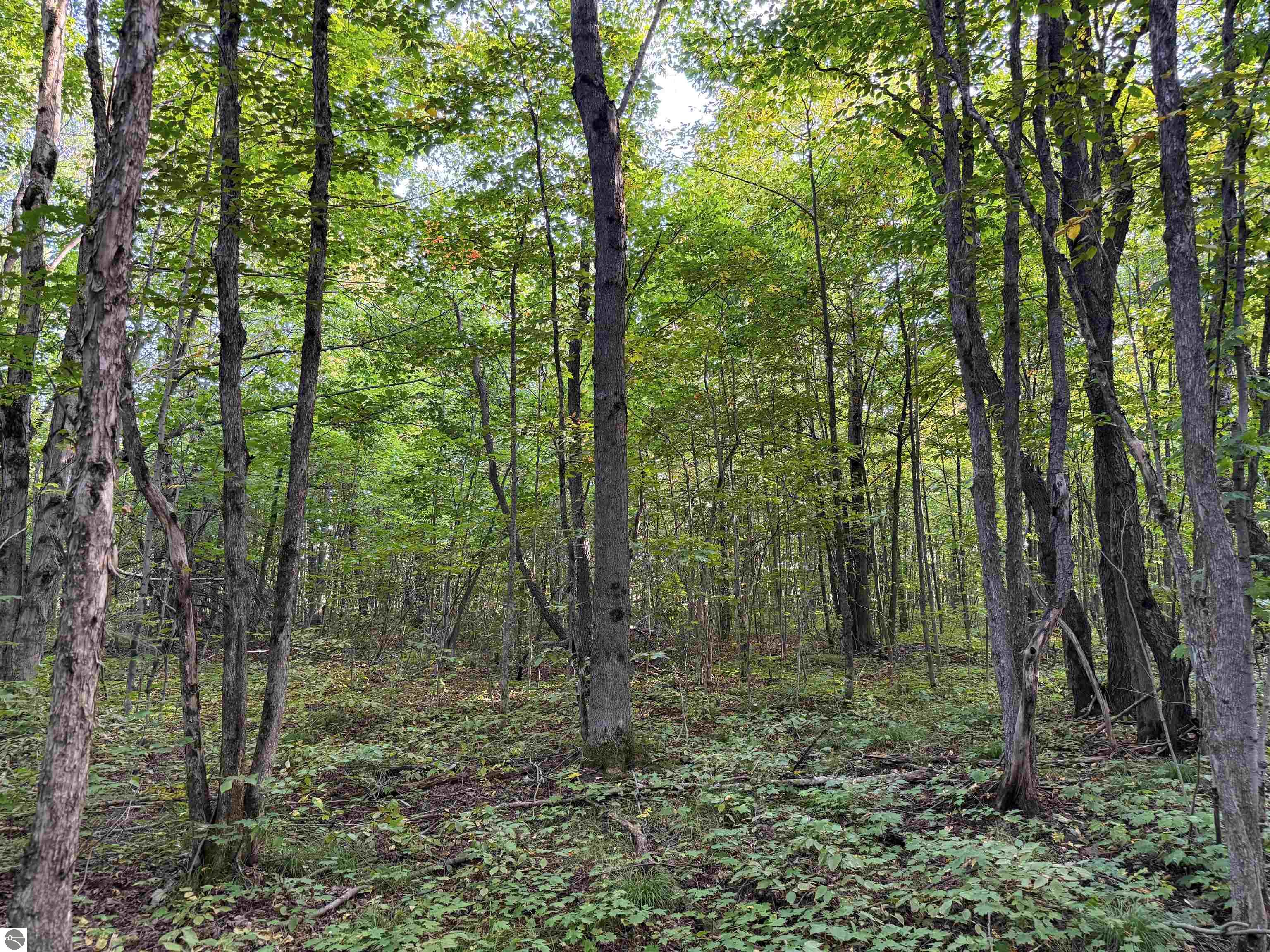 3191 Tucker Road