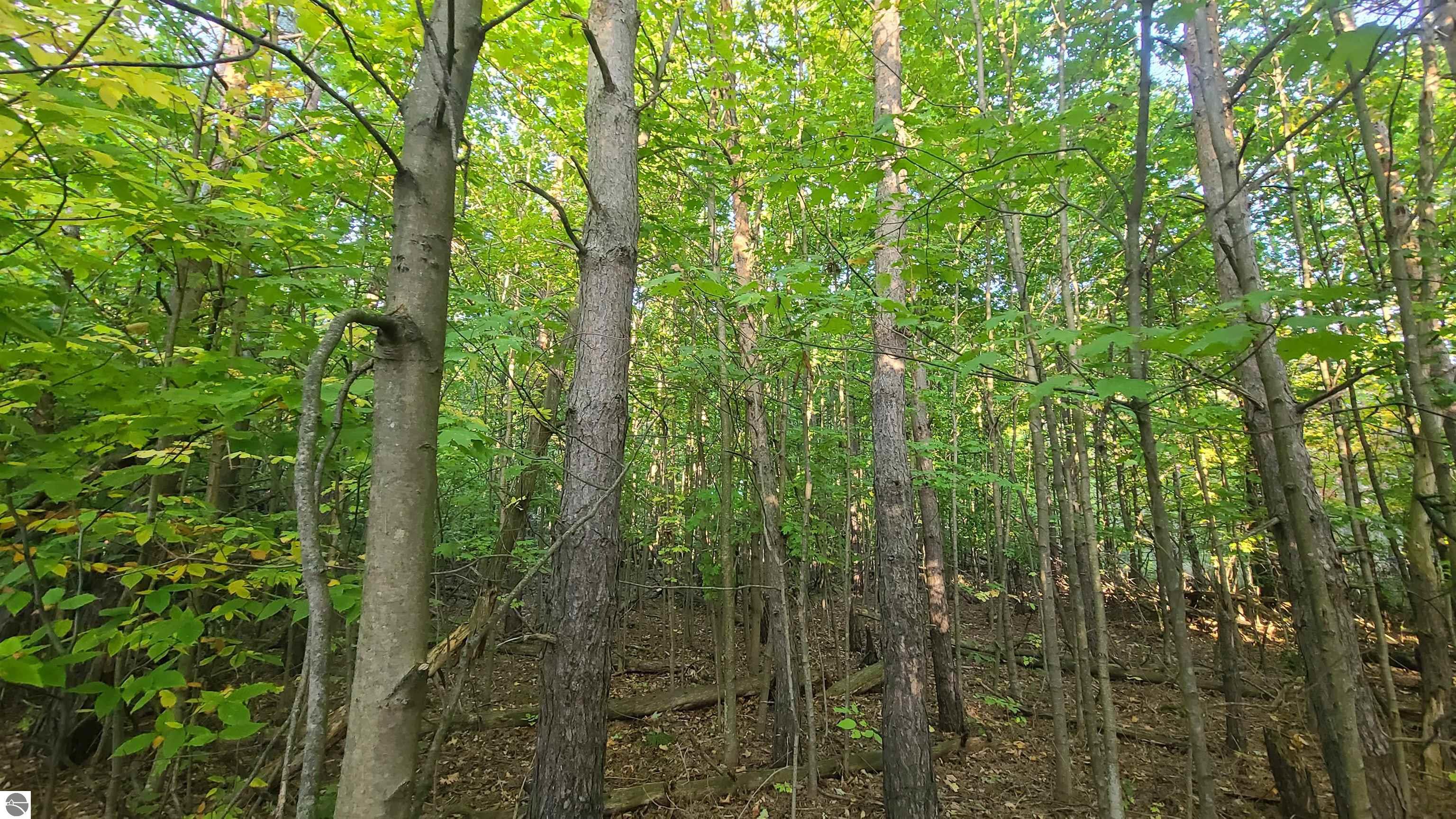 0000 Sperry Road