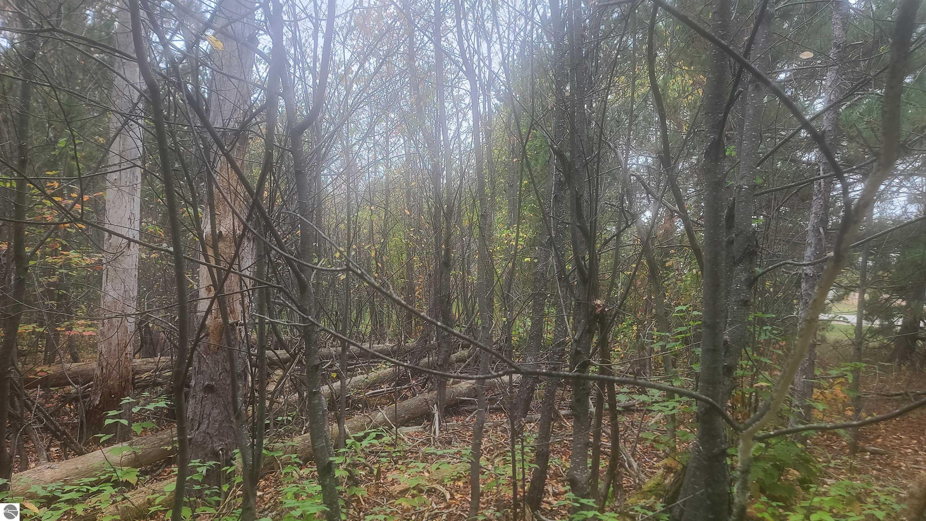 0001 Cedar River Road