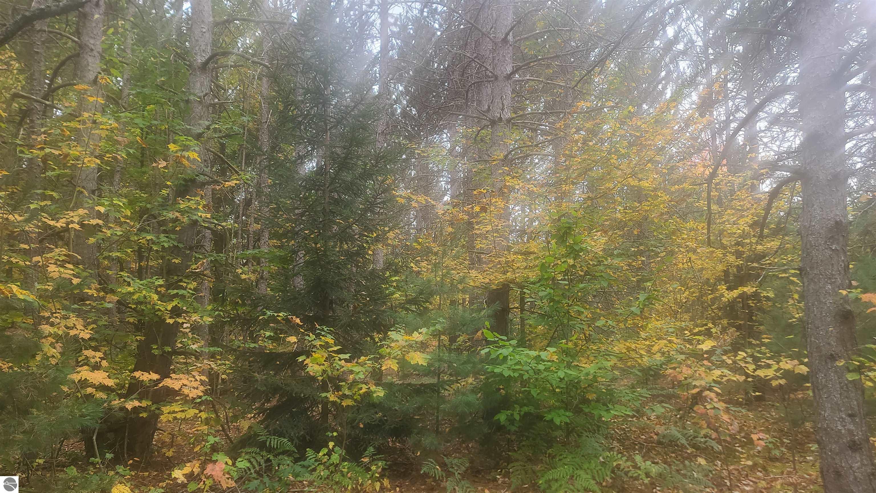 0000 Cedar River Road