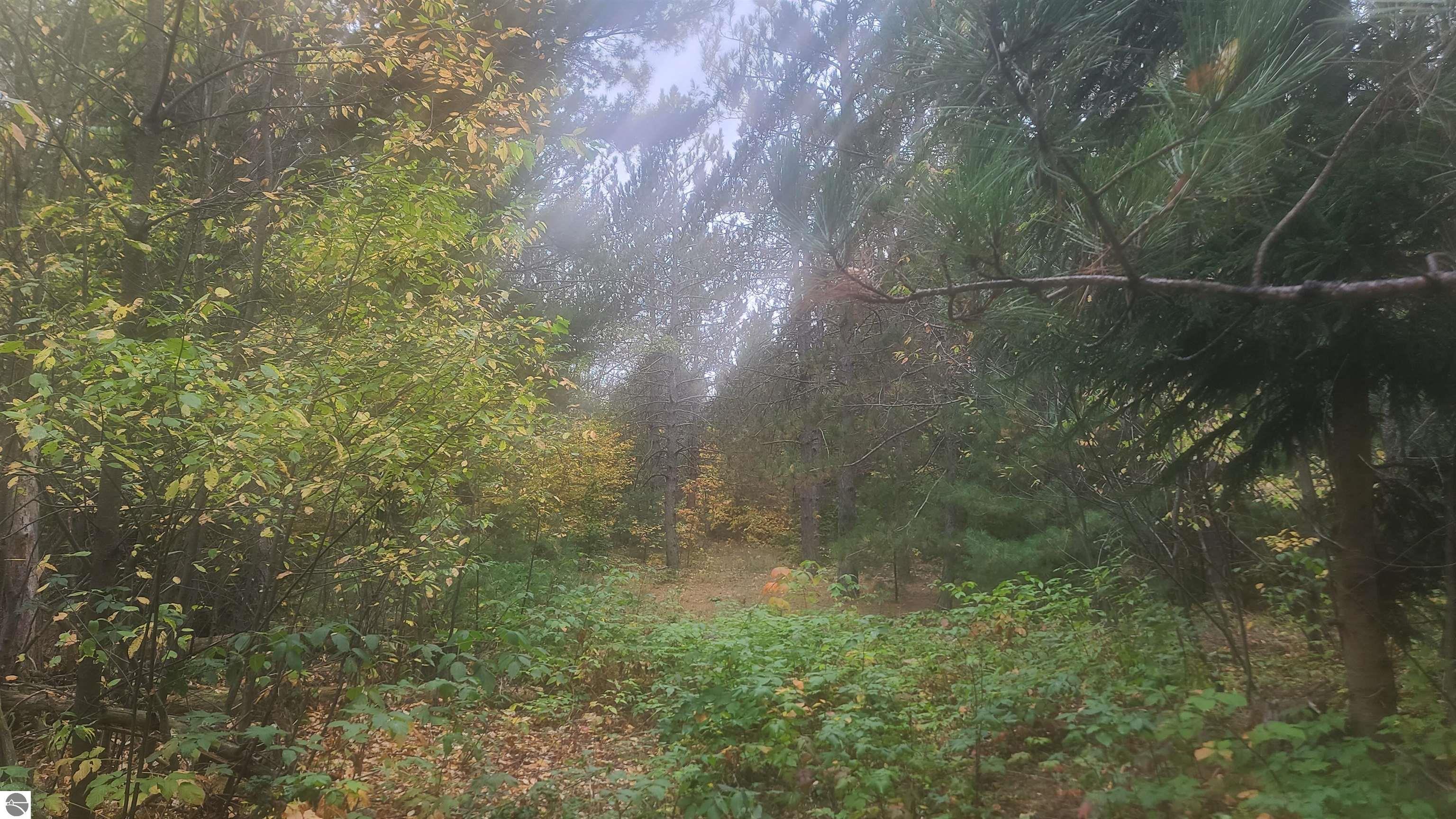 0000 Cedar River Road
