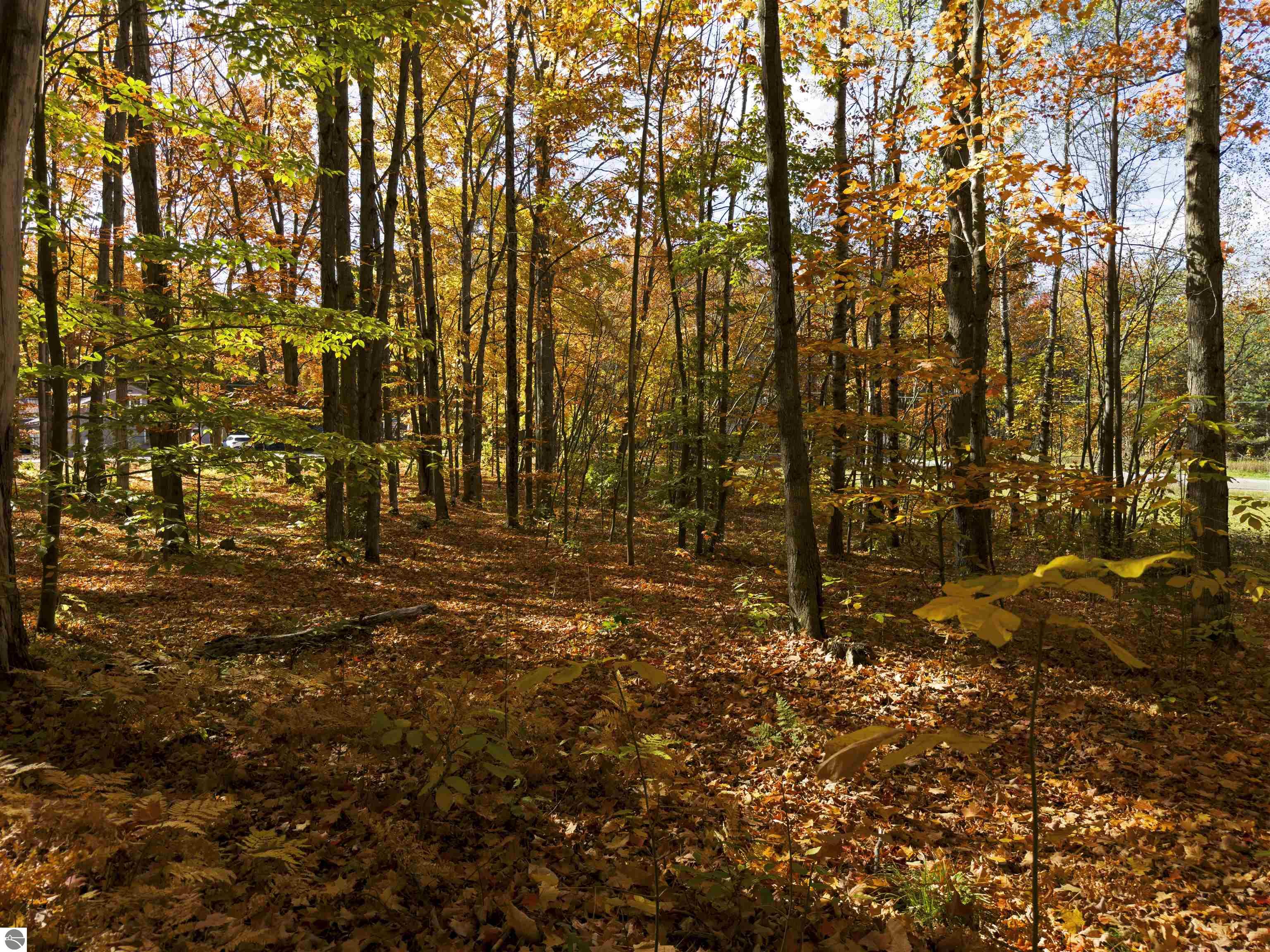 5038 NE East Shore Drive