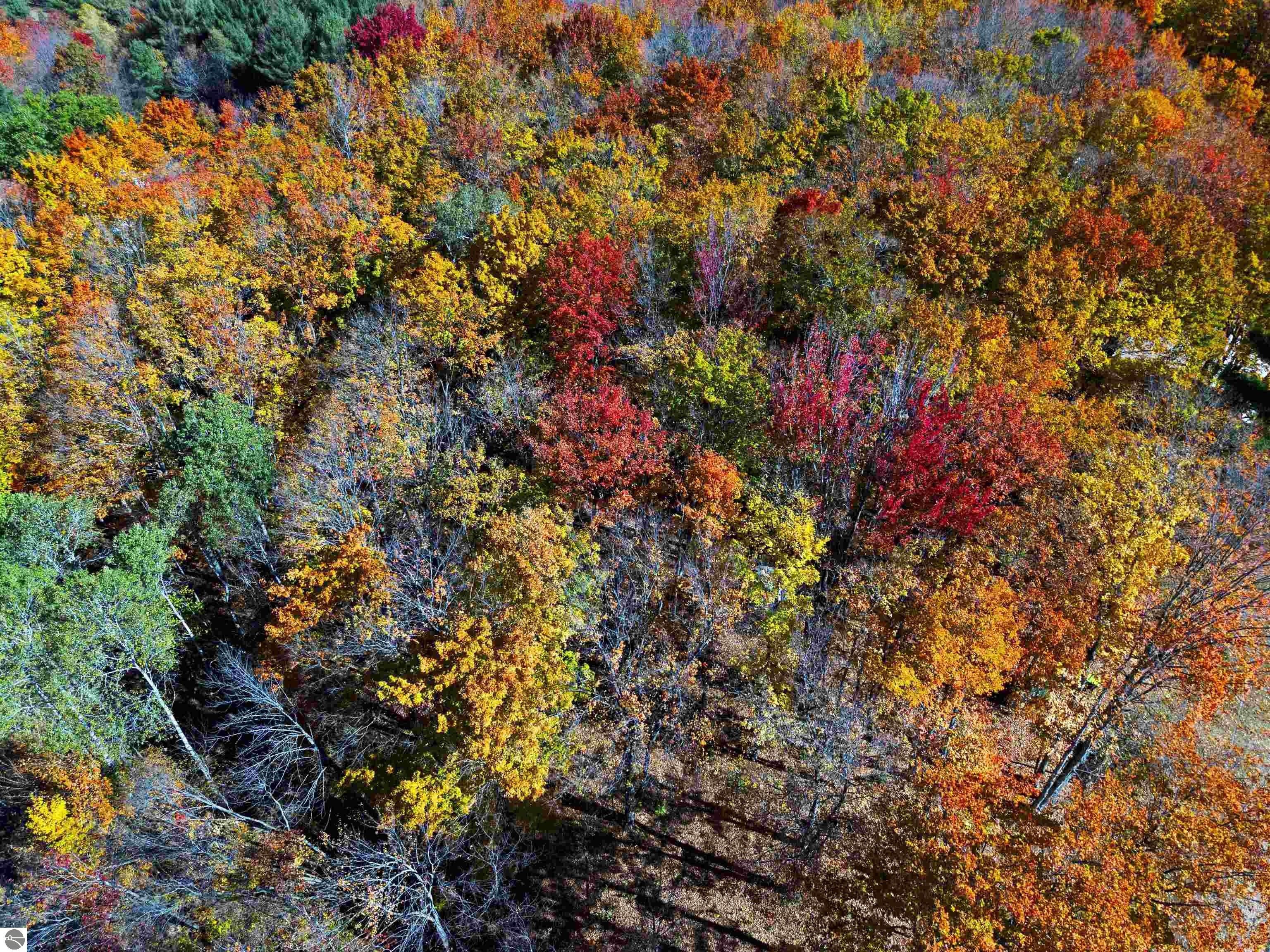 5038 NE East Shore Drive