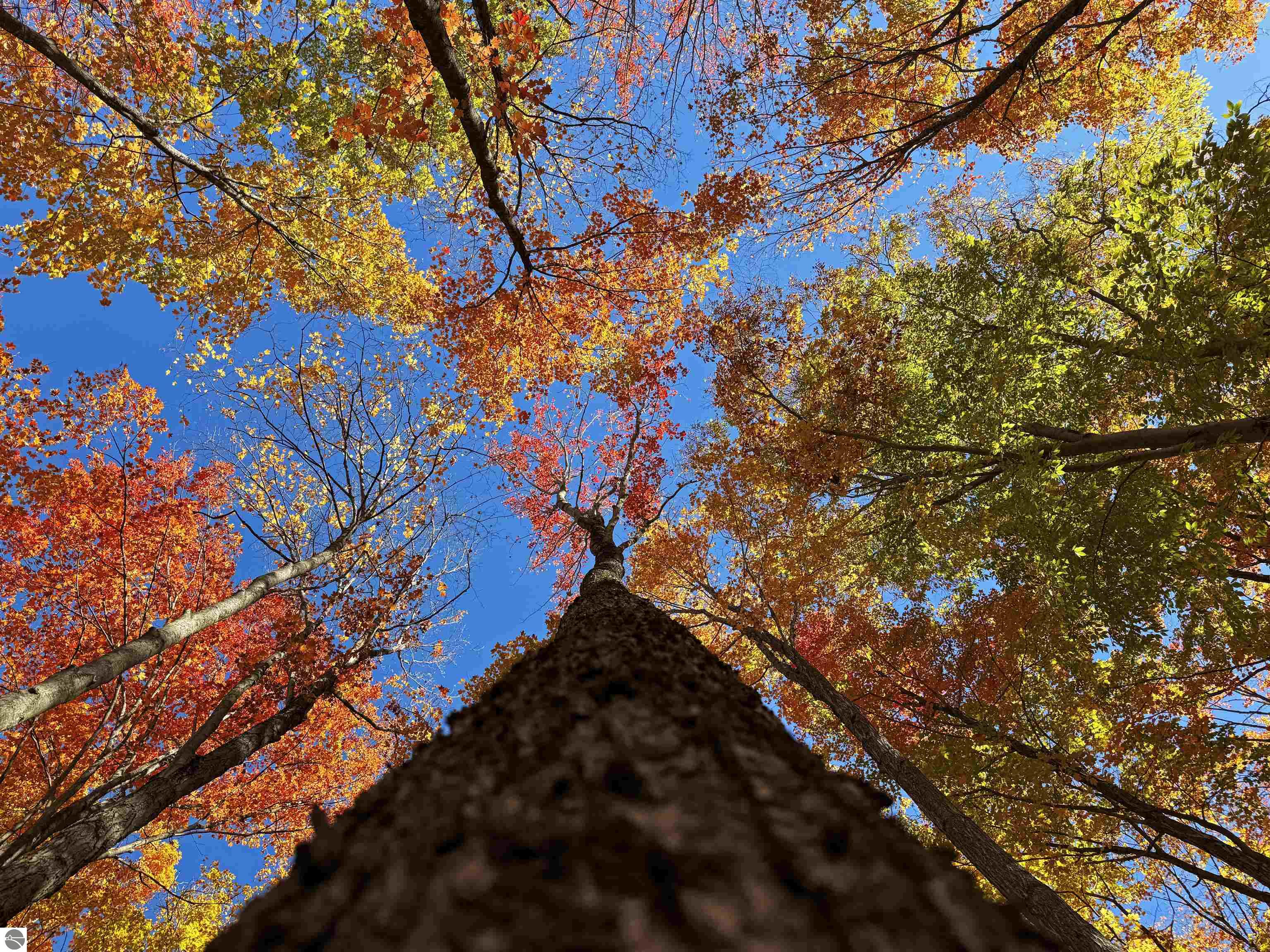 5038 NE East Shore Drive