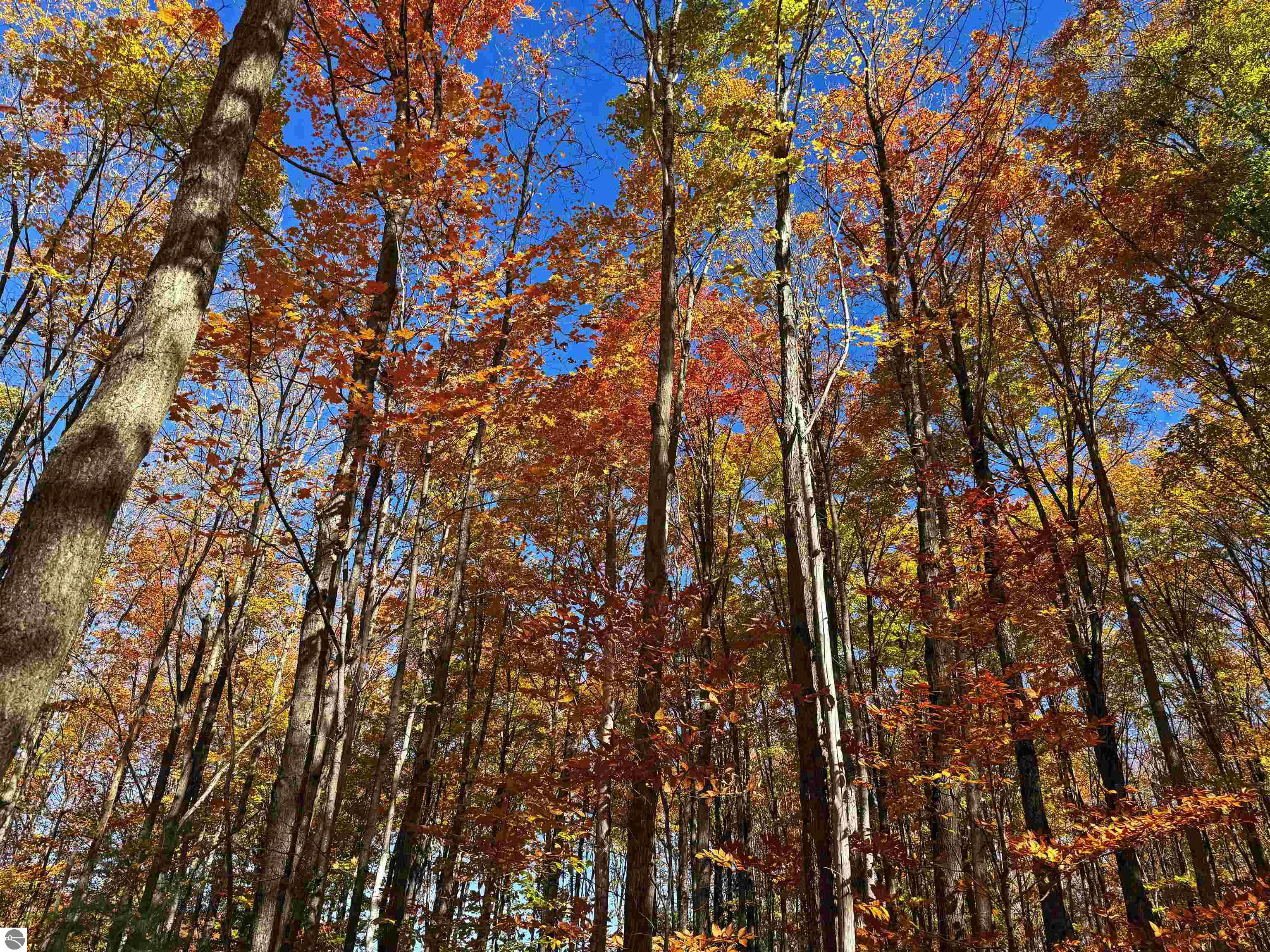 5038 NE East Shore Drive