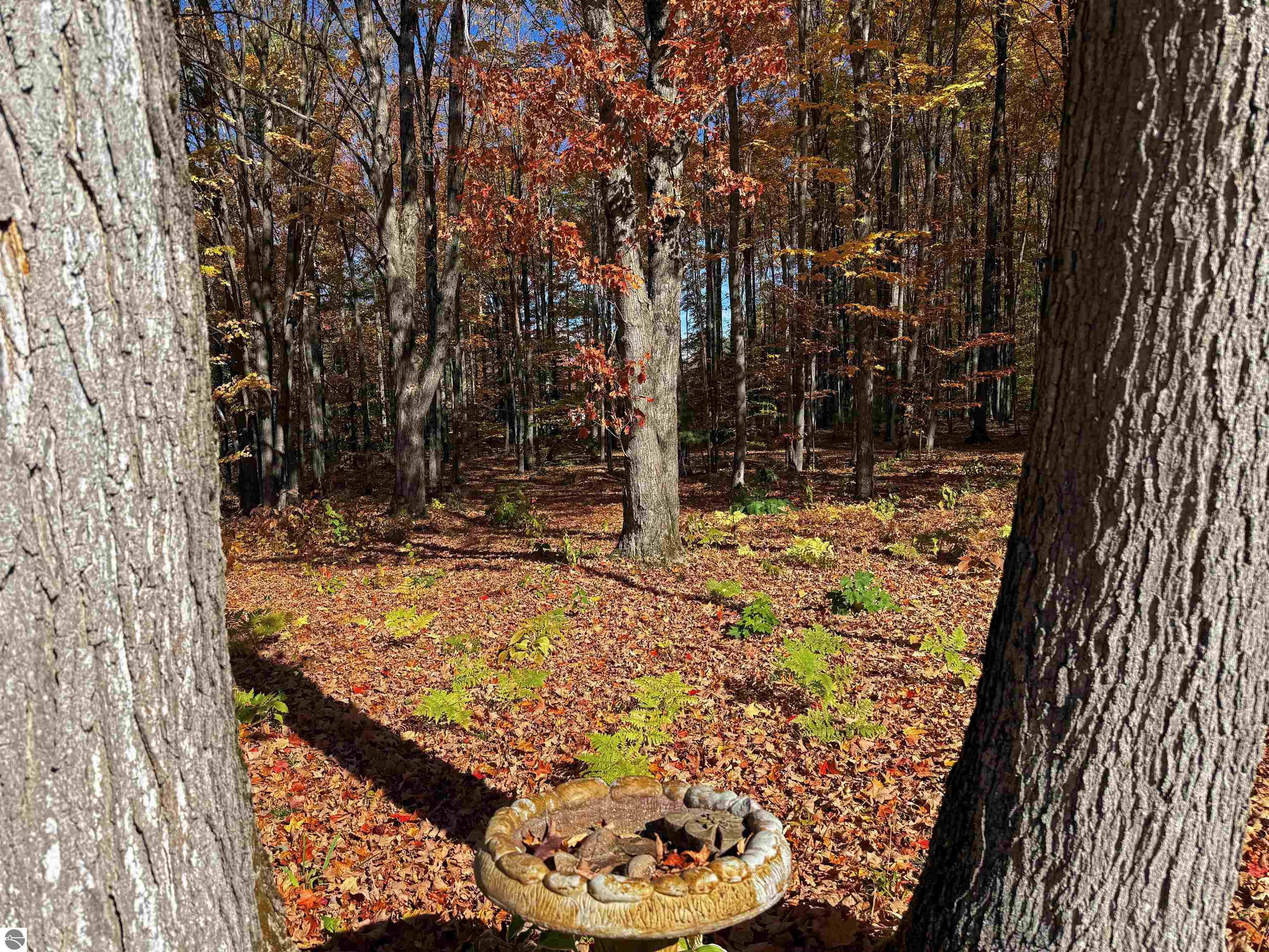 5038 NE East Shore Drive