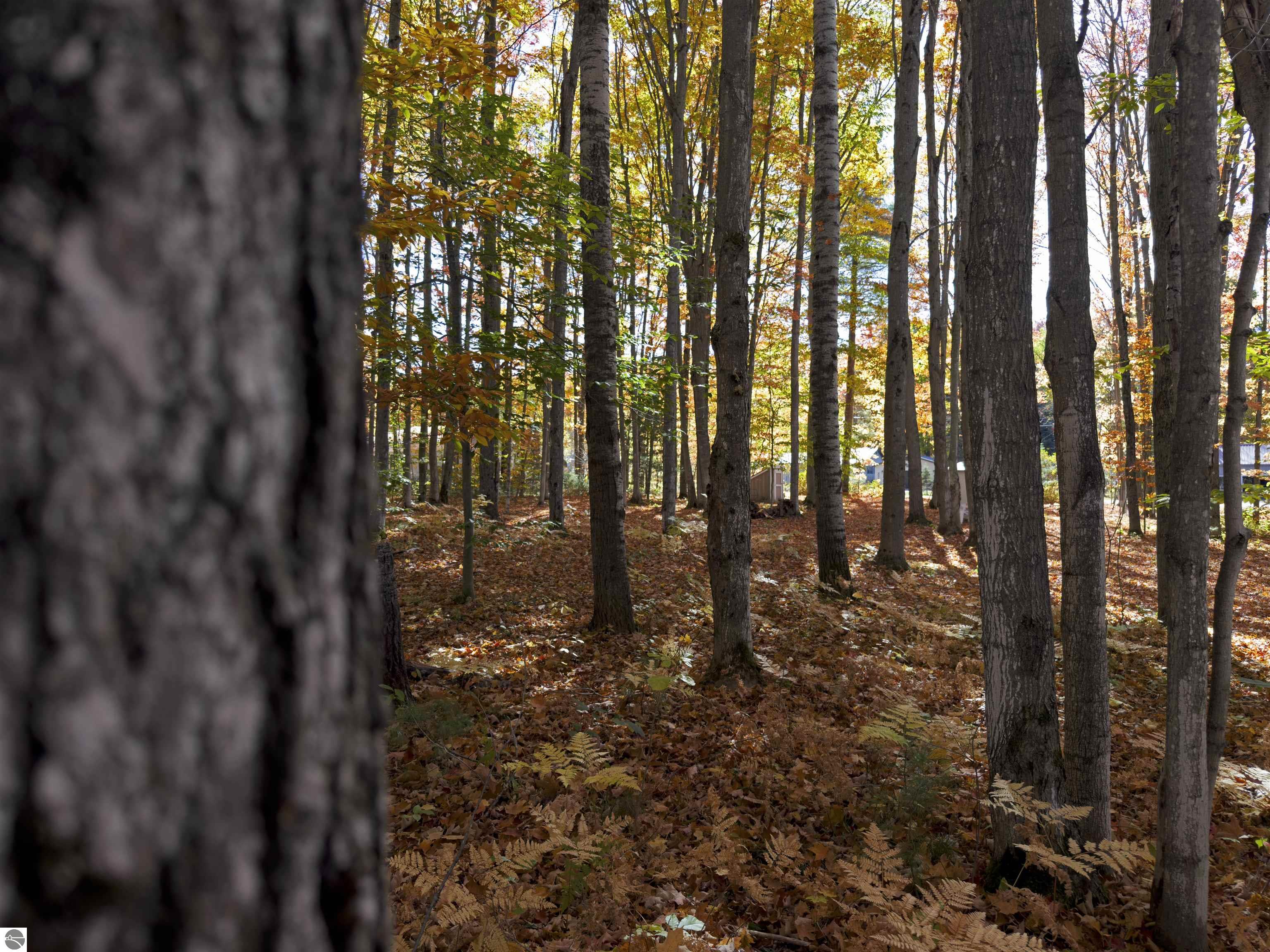 5038 NE East Shore Drive