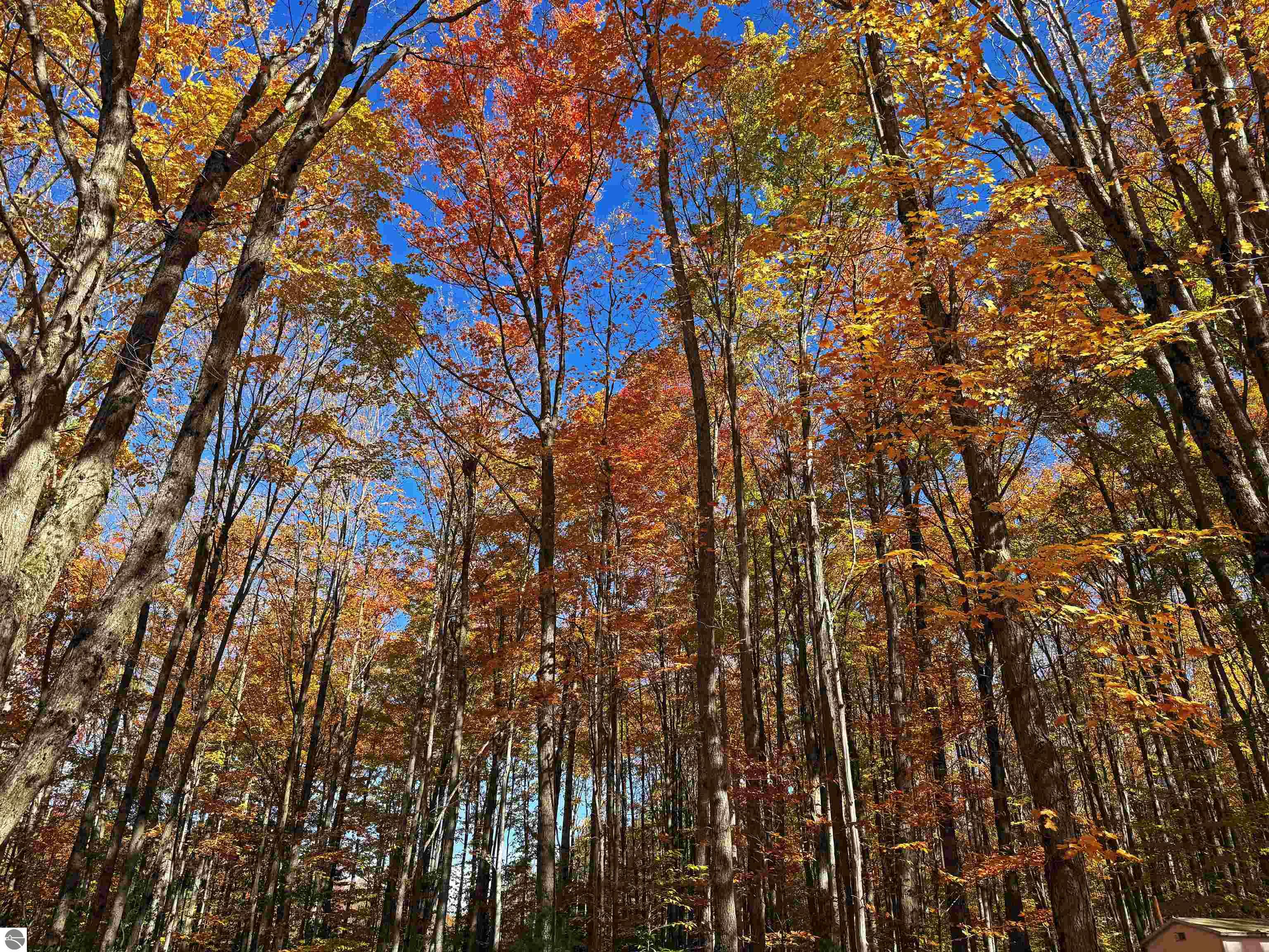 5038 NE East Shore Drive