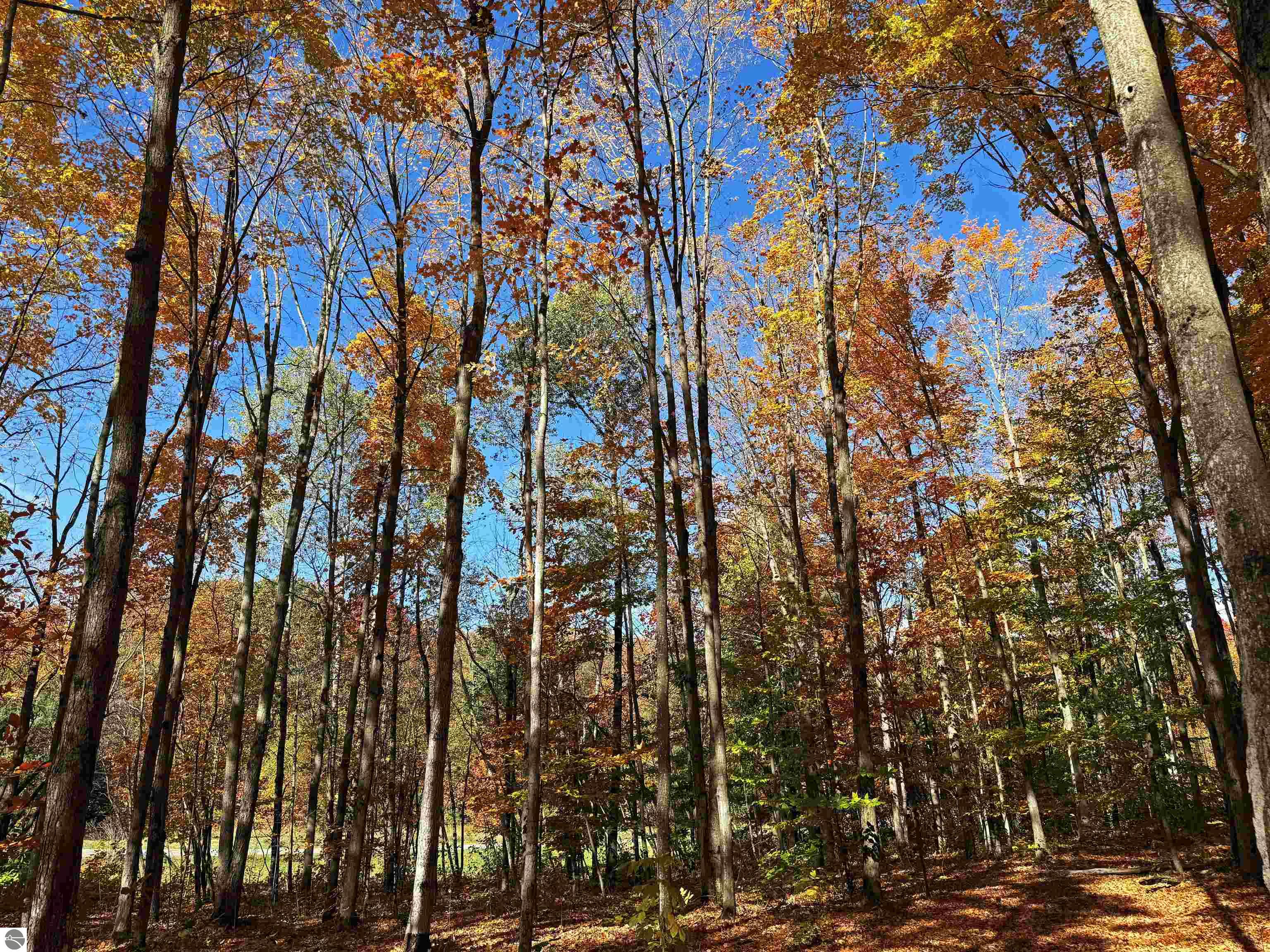 5038 NE East Shore Drive