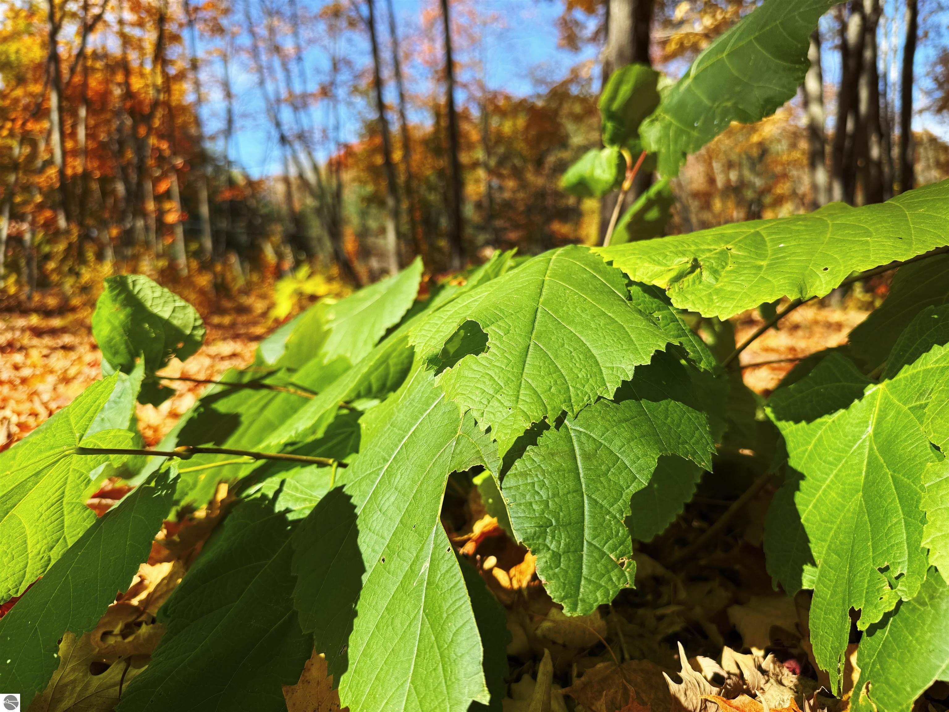 5038 NE East Shore Drive