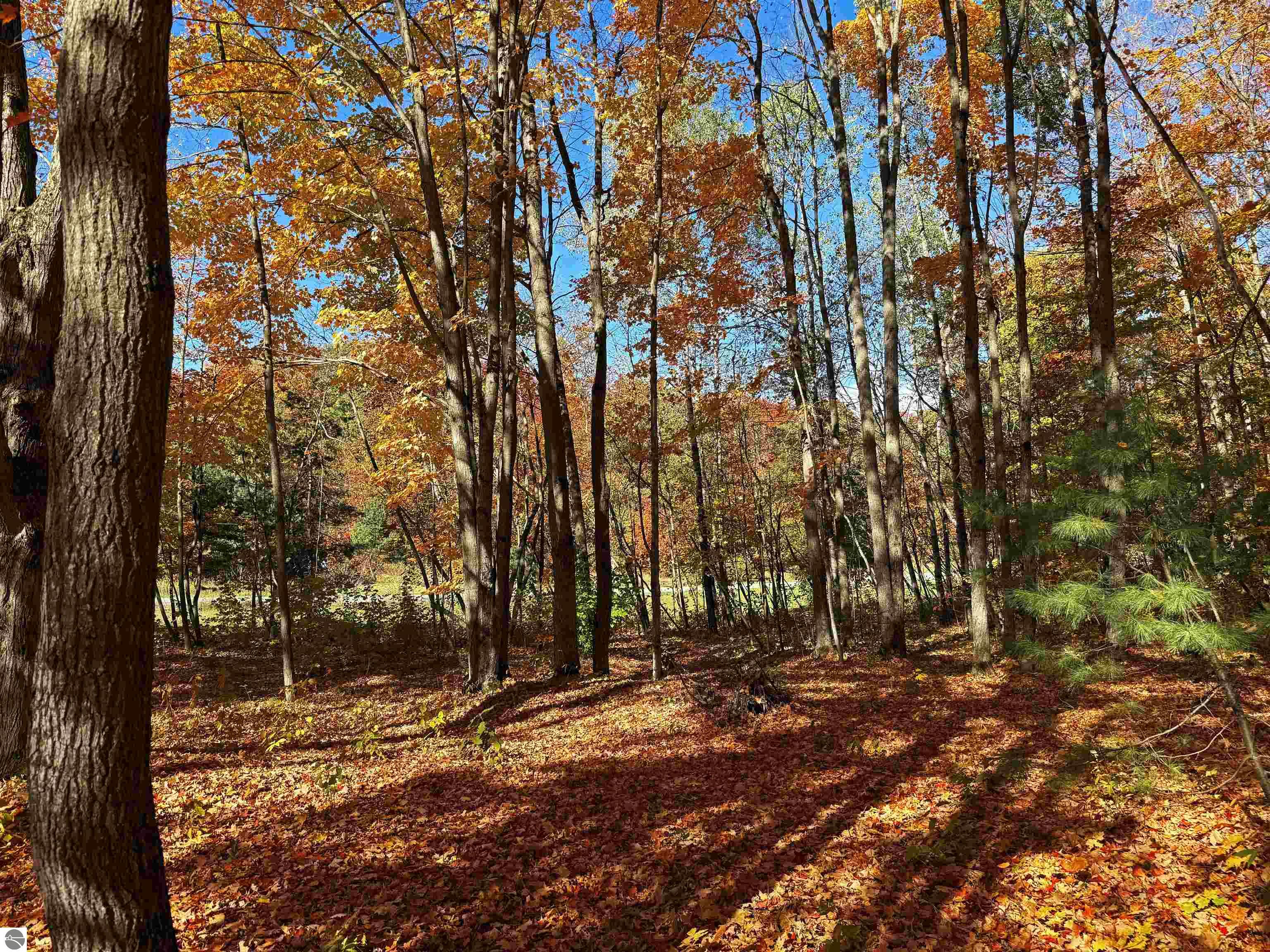 5038 NE East Shore Drive