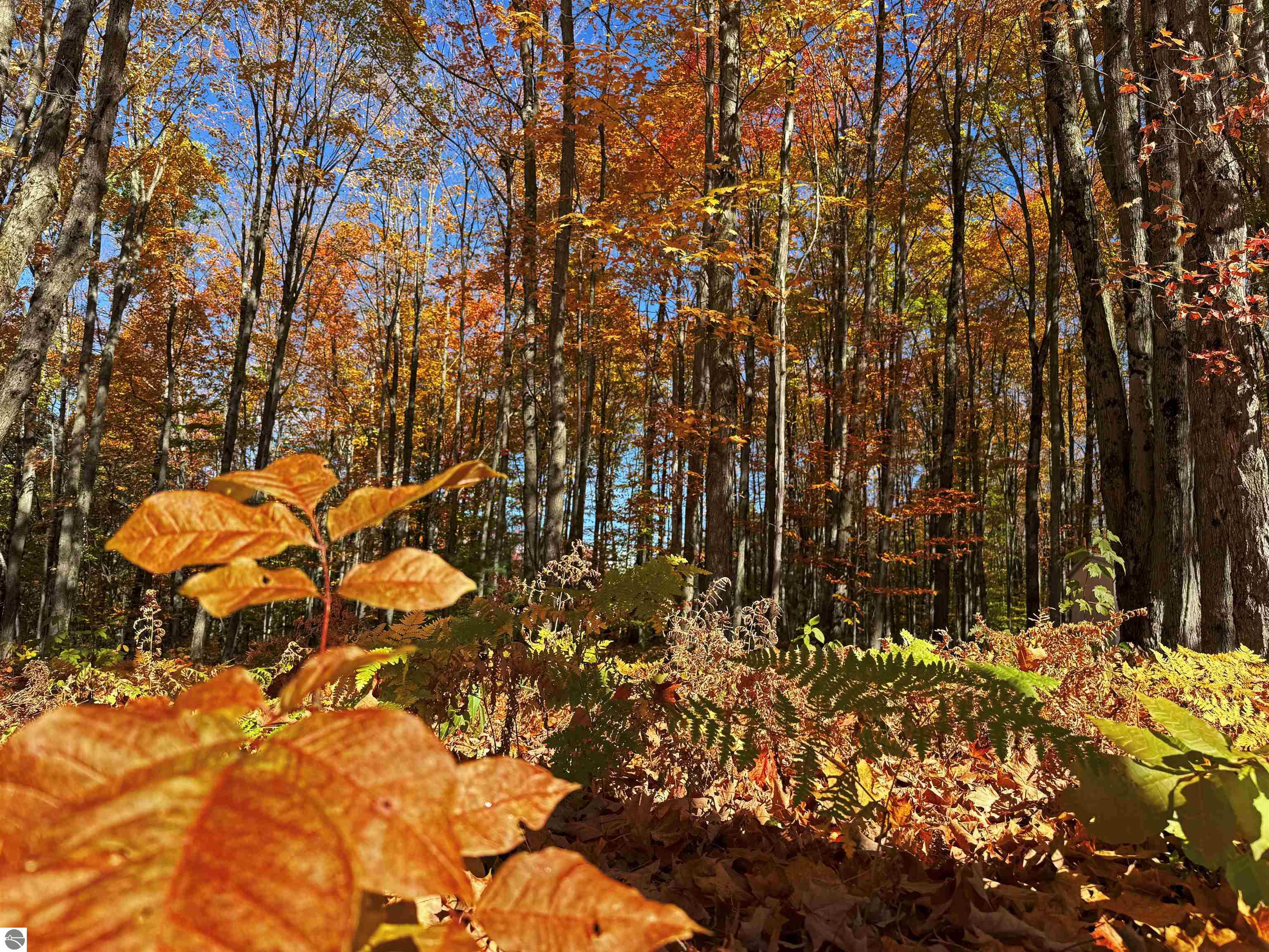 5038 NE East Shore Drive