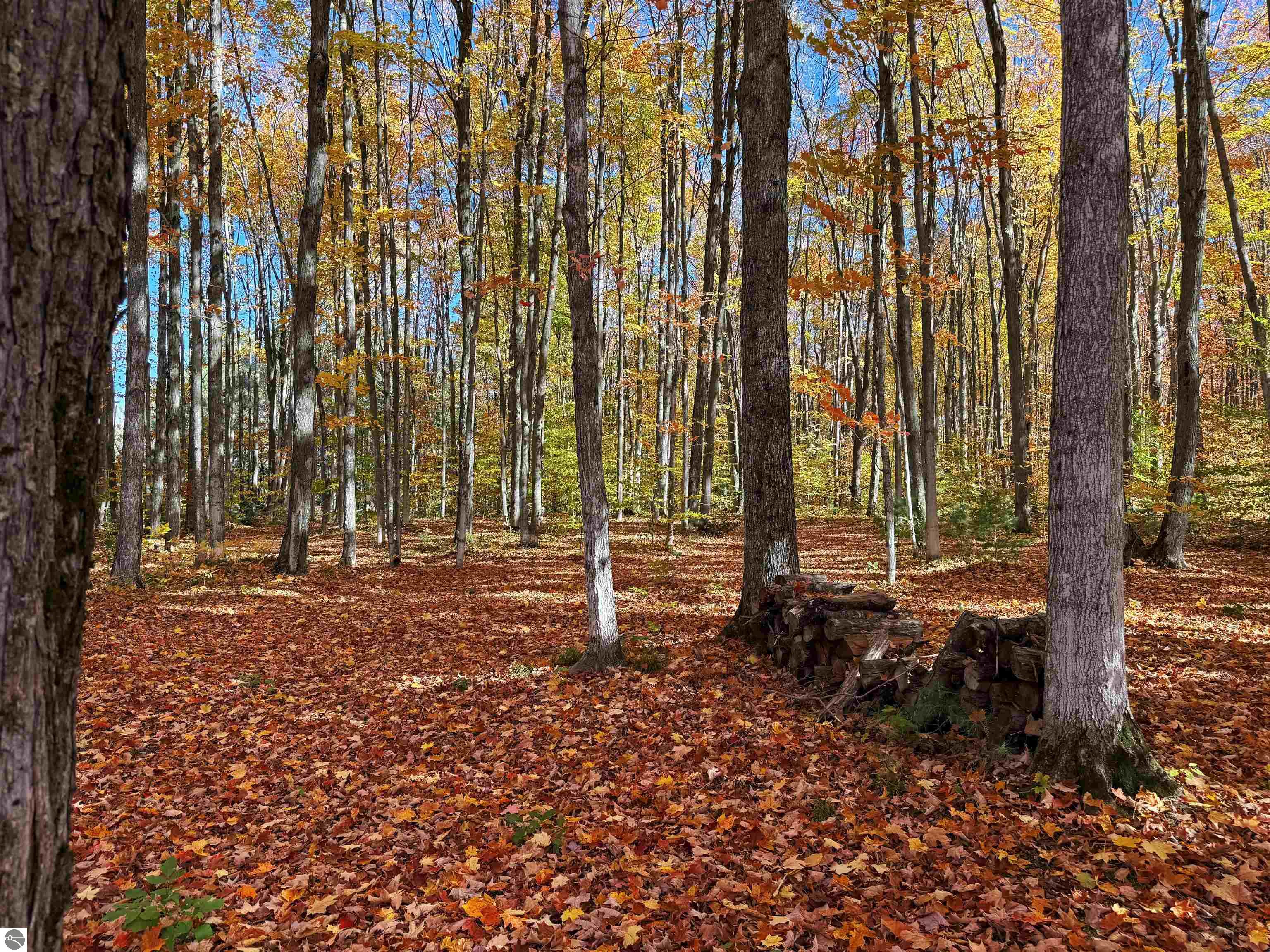 5038 NE East Shore Drive