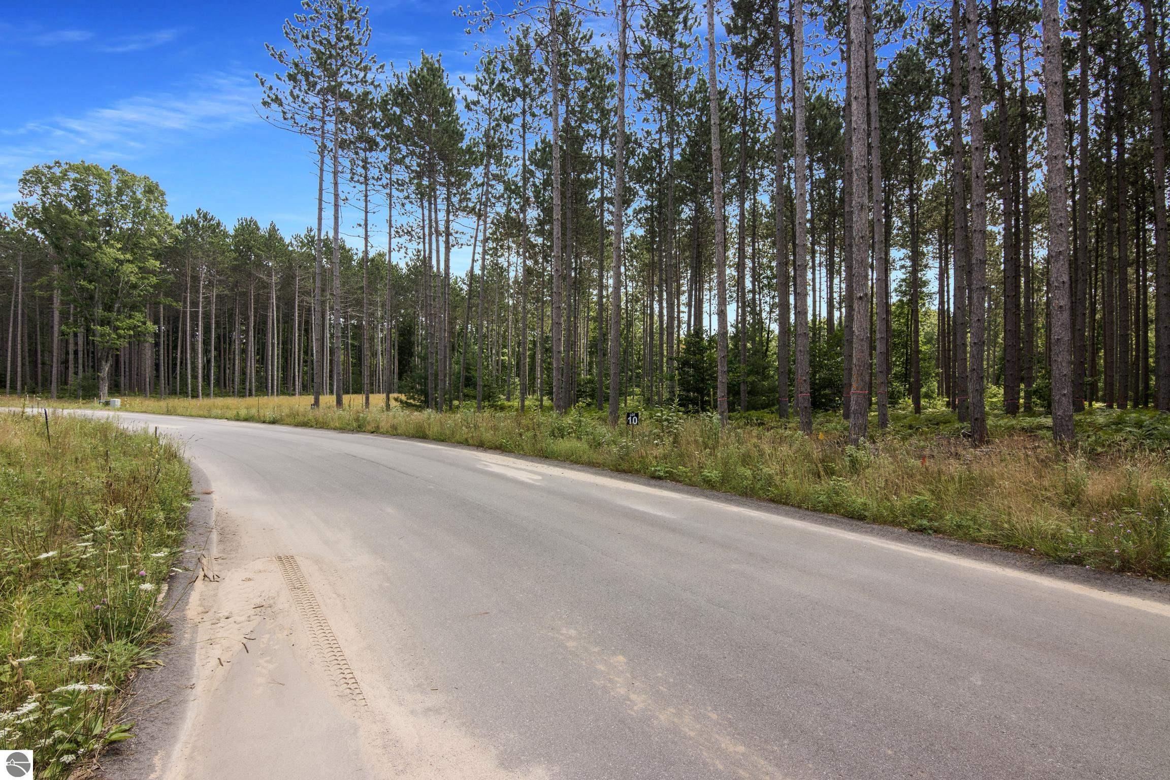 Lot 20 Cascade Trail