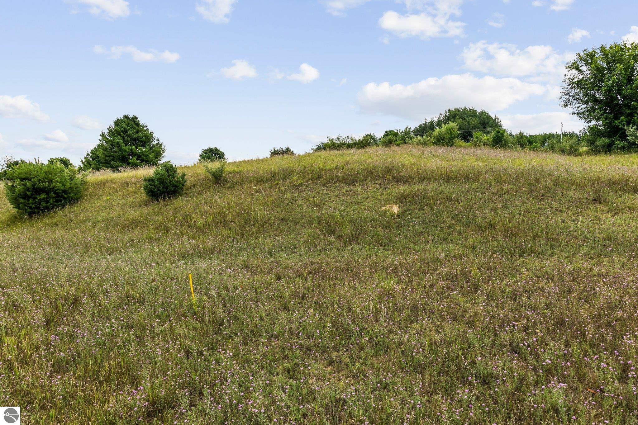 000 S Pine Meadow Path