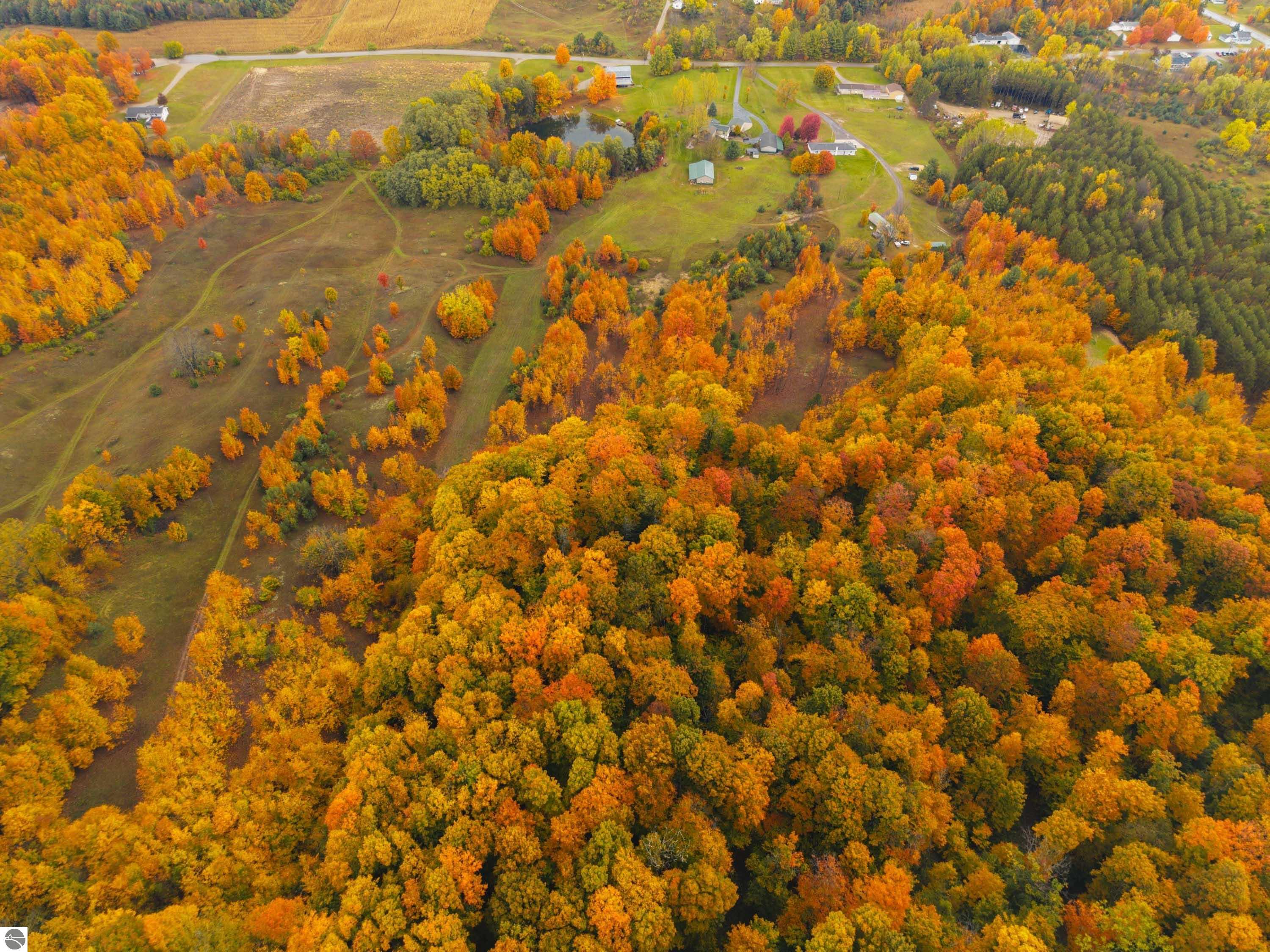 40.6 Acres Off E Popa Road
