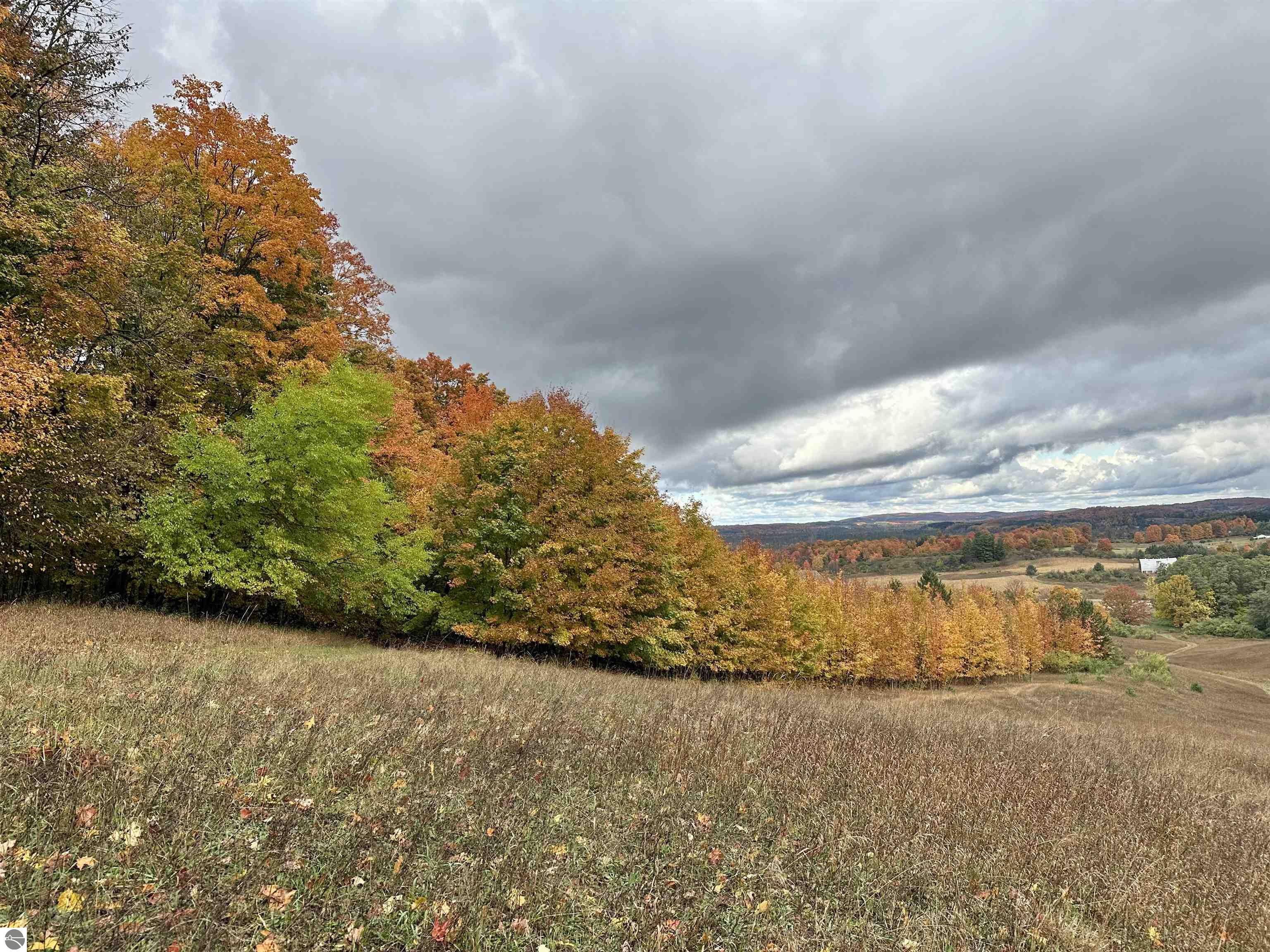 40.6 Acres Off E Popa Road